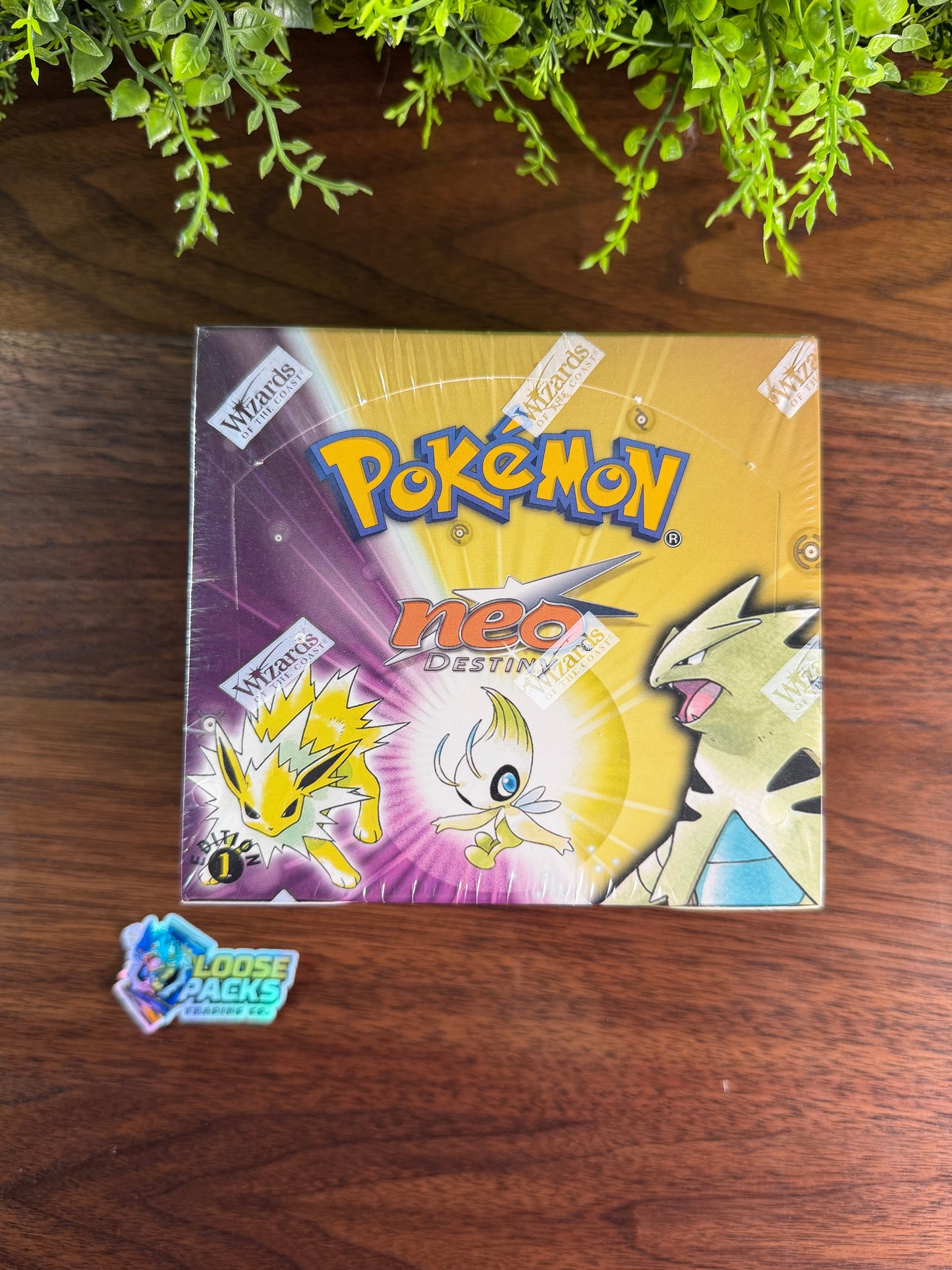 REAL PHOTO 2026-07-26 — Neo Destiny Booster Box 1st Edition (IMG_4520)