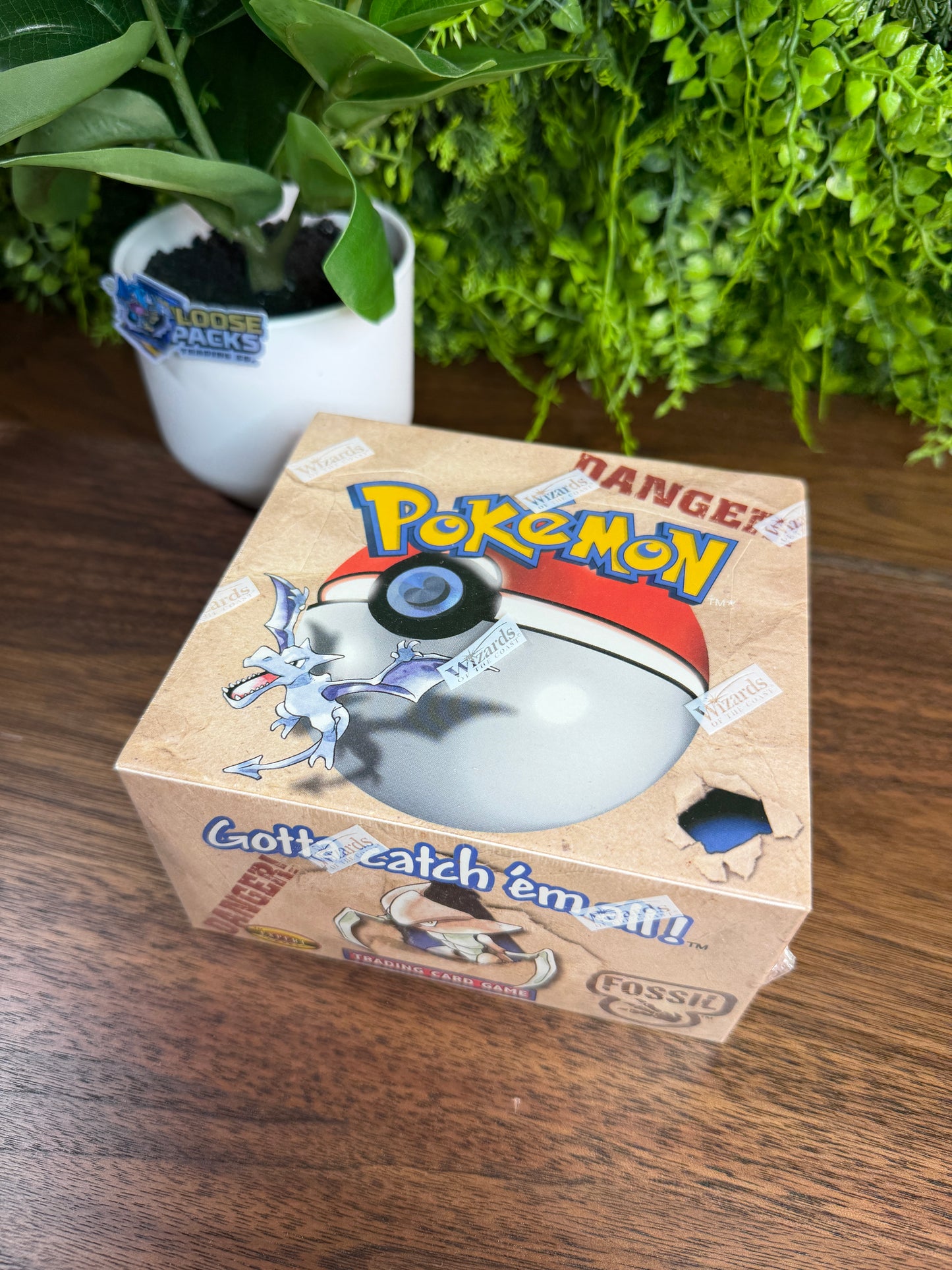 REAL PHOTO 2026-07-30 — Fossil Booster Box Unlimited (IMG_4675) — mint - additional angle