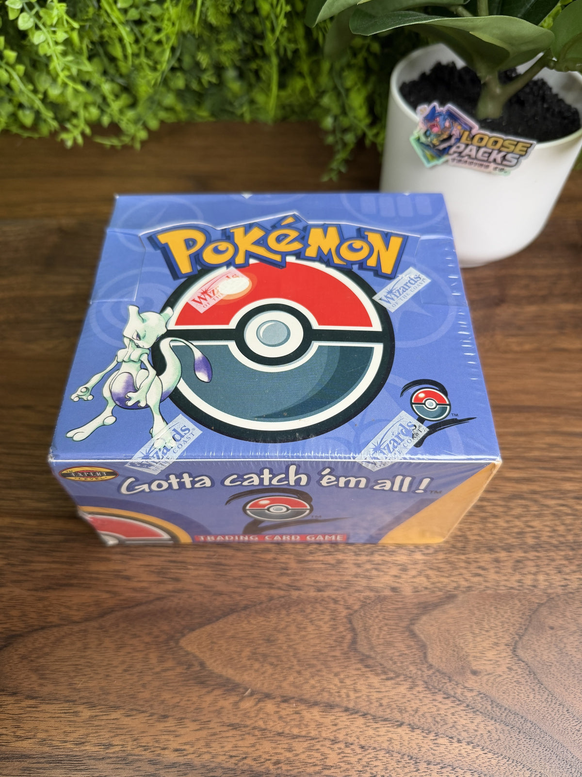 REAL PHOTO 2026-09-19 - Base Set 2 Booster Box Default Title (IMG_6428)