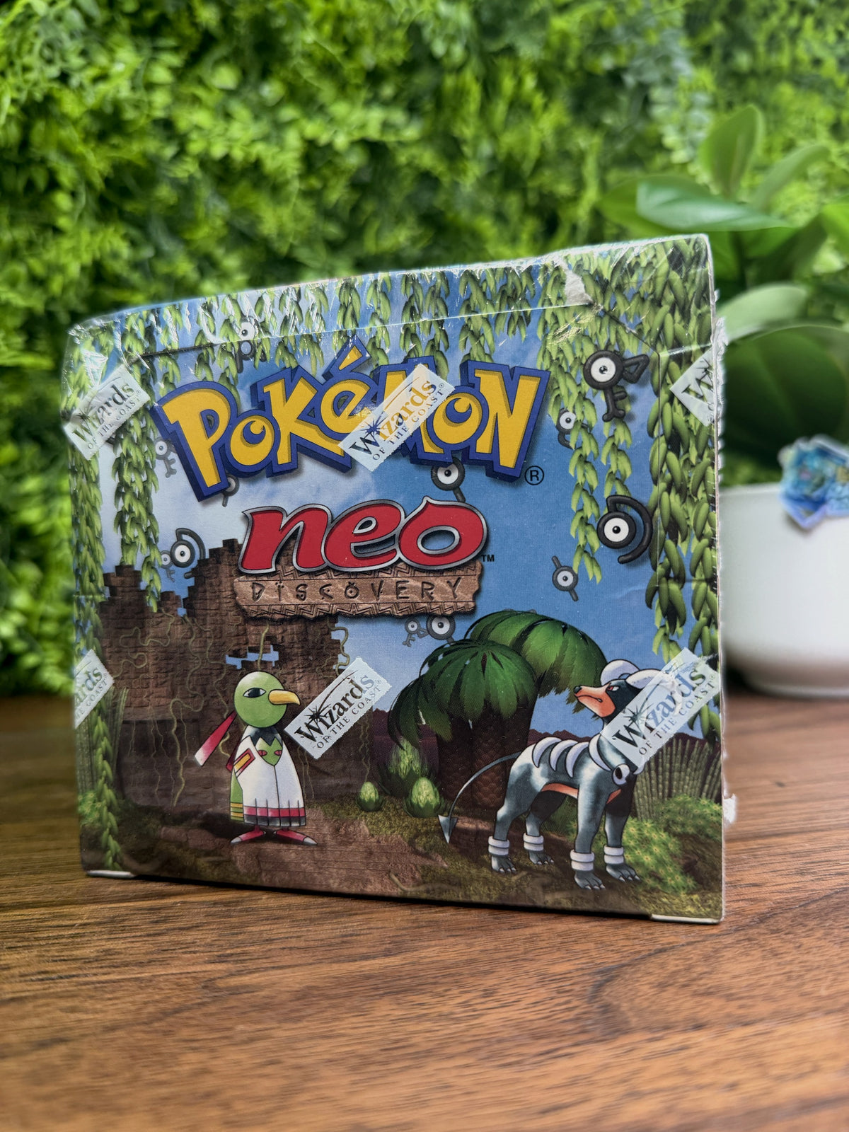 REAL PHOTO 2026-09-23 - Neo Discovery Booster Box Unlimited (IMG_6585)