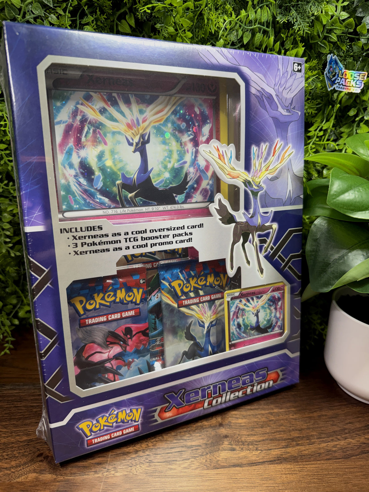 REAL PHOTO 2026-09-30 - Xerneas Jumbo Collection Box (IMG_6825)