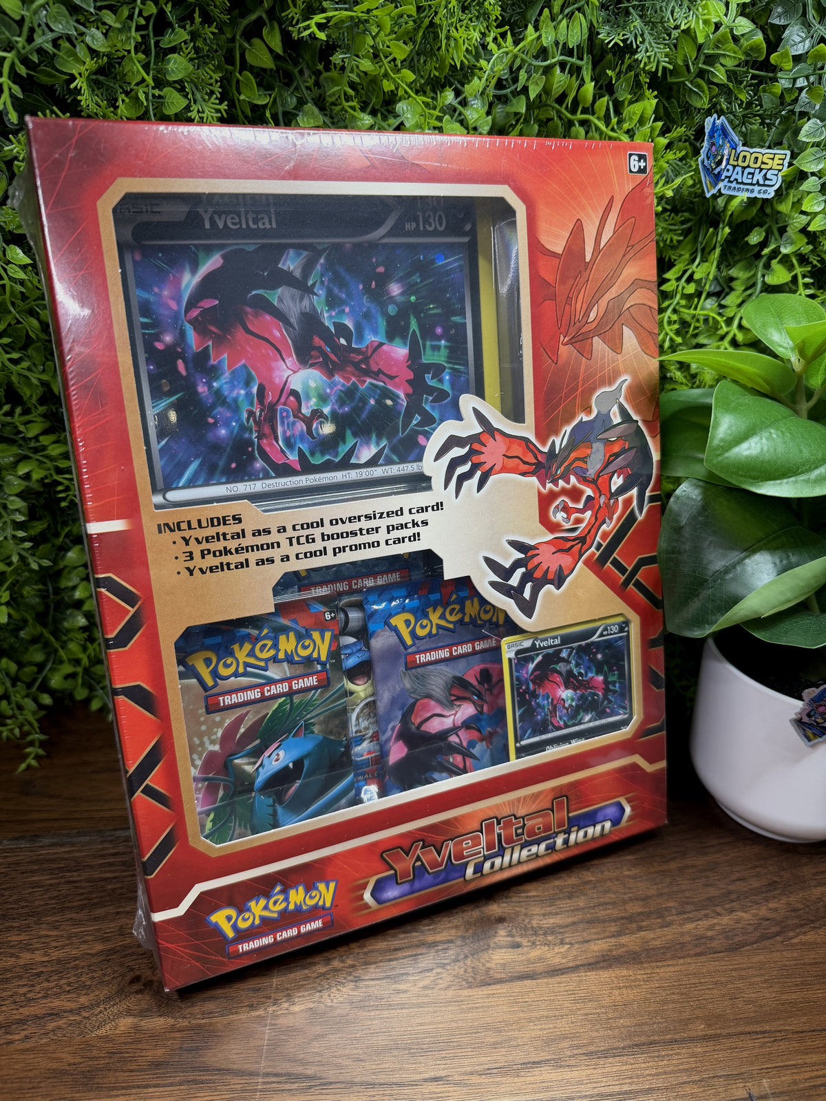 REAL PHOTO 2026-09-30 - Yveltal Jumbo Collection Box (IMG_6826)