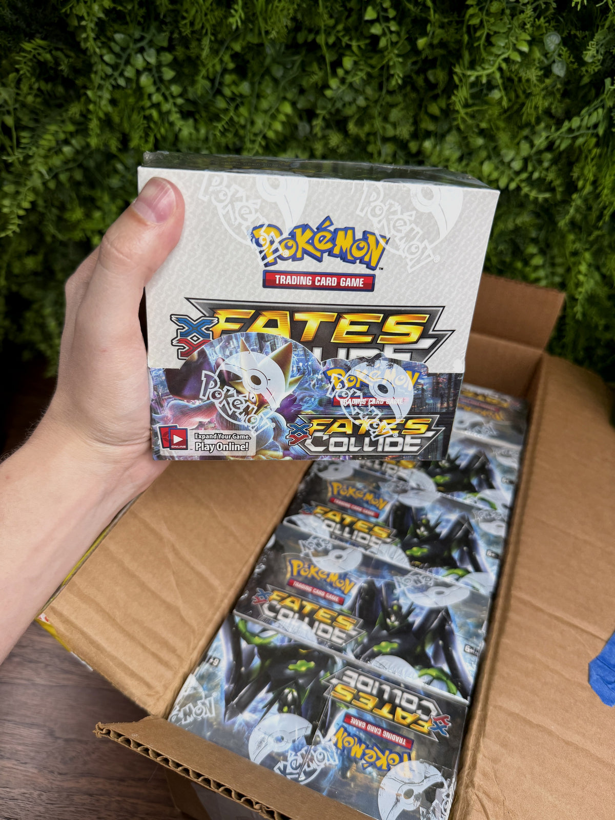 REAL PHOTO 2026-09-30 - XY Fates Collide Booster Box (IMG_6827)