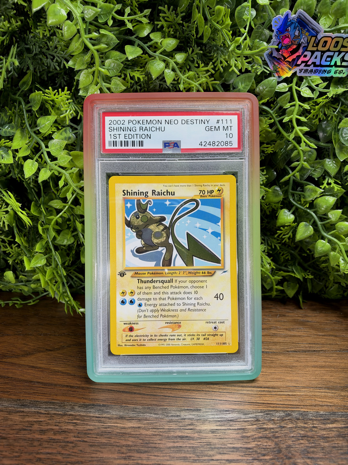 PSA 10 Neo Destiny Shining Raichu #111 1st Edition