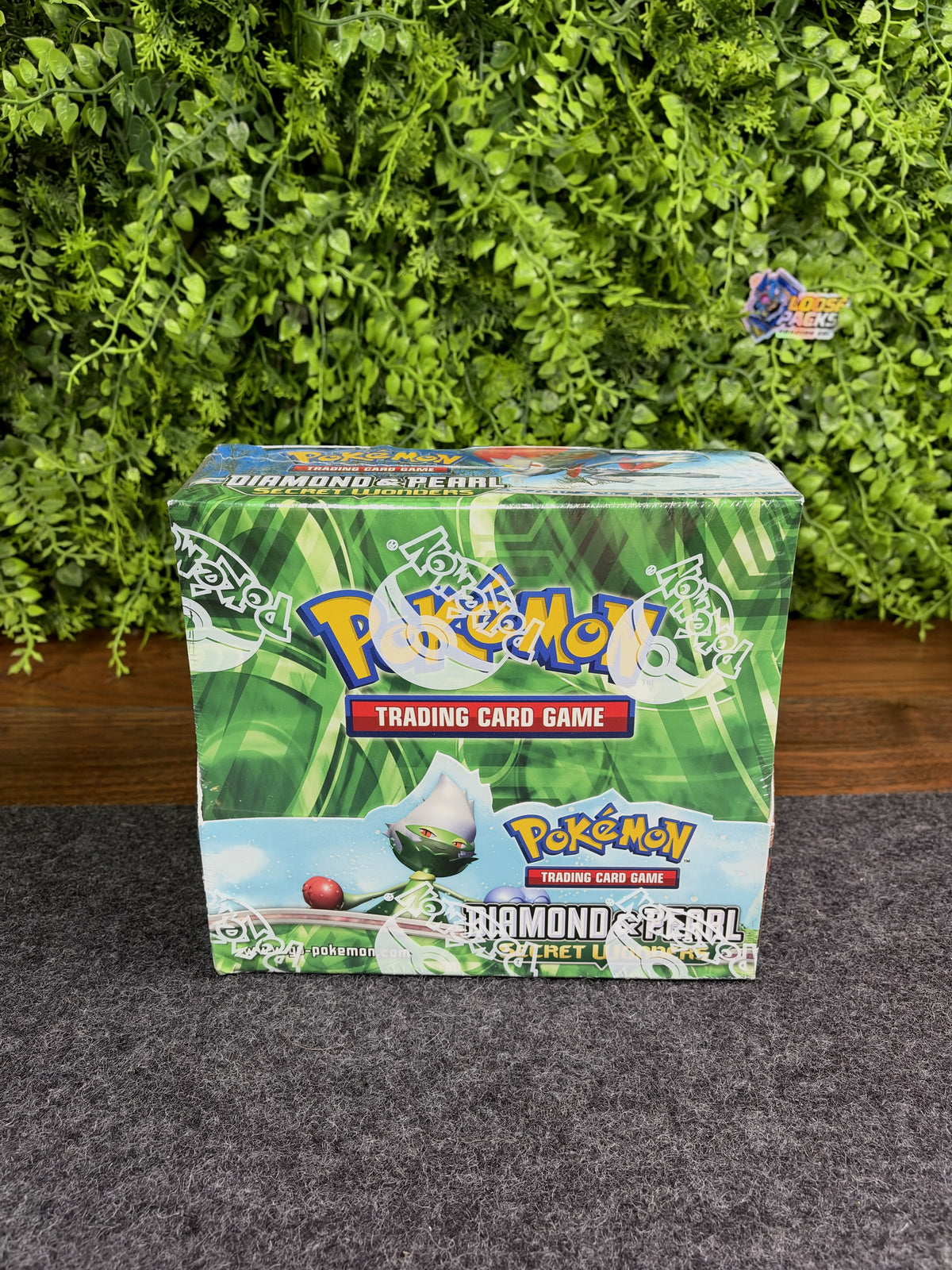 REAL PHOTO 2026-10-24 - D&P Secret Wonders Booster Box (IMG_7694)