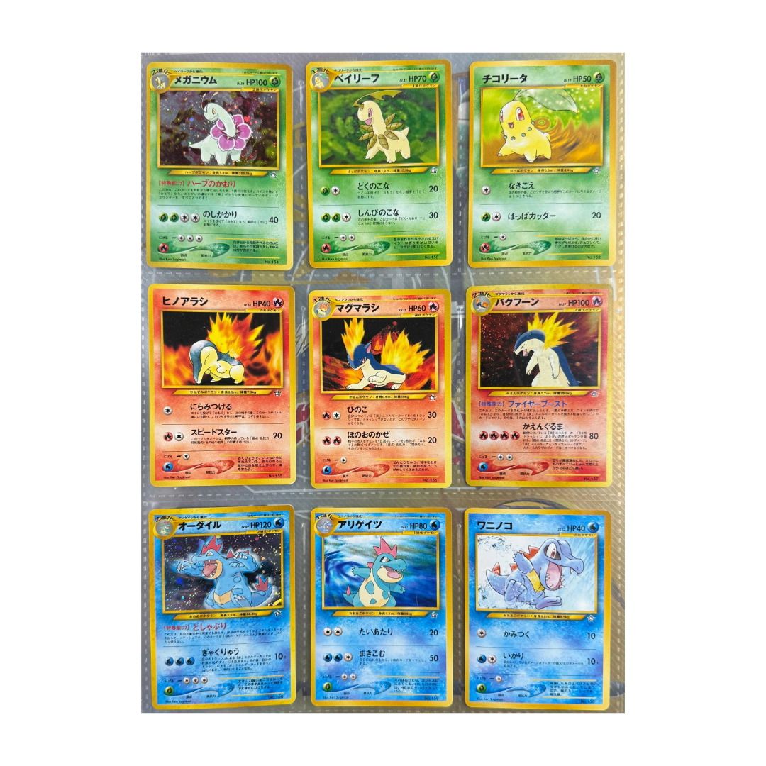 Japanese Neo Premium File