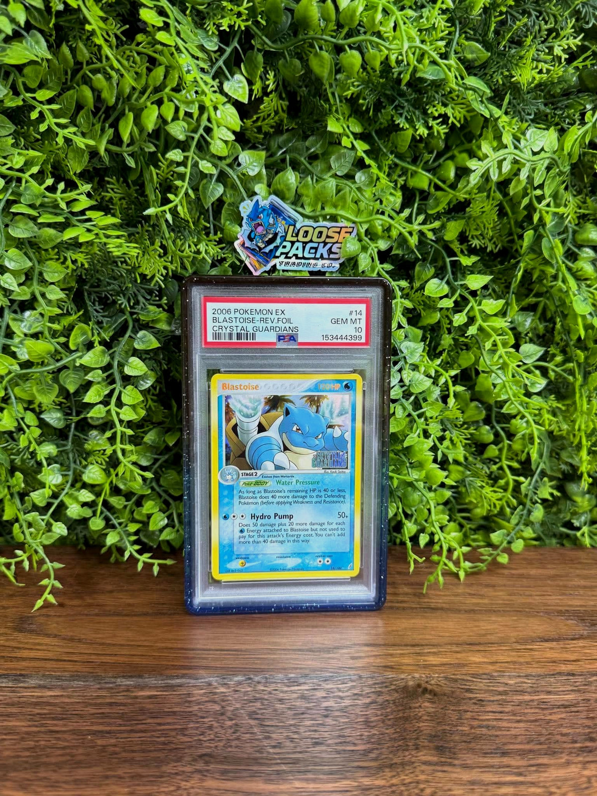 REAL PHOTO 2026-10-15 - PSA 10 EX Crystal Guardians Blastoise Reverse Holo #14 (1CIcpsaU5I6QWDH4Qqctc5cqWUQ7-Xdre-74387f292c48aa9b3a1964277291b9a4)