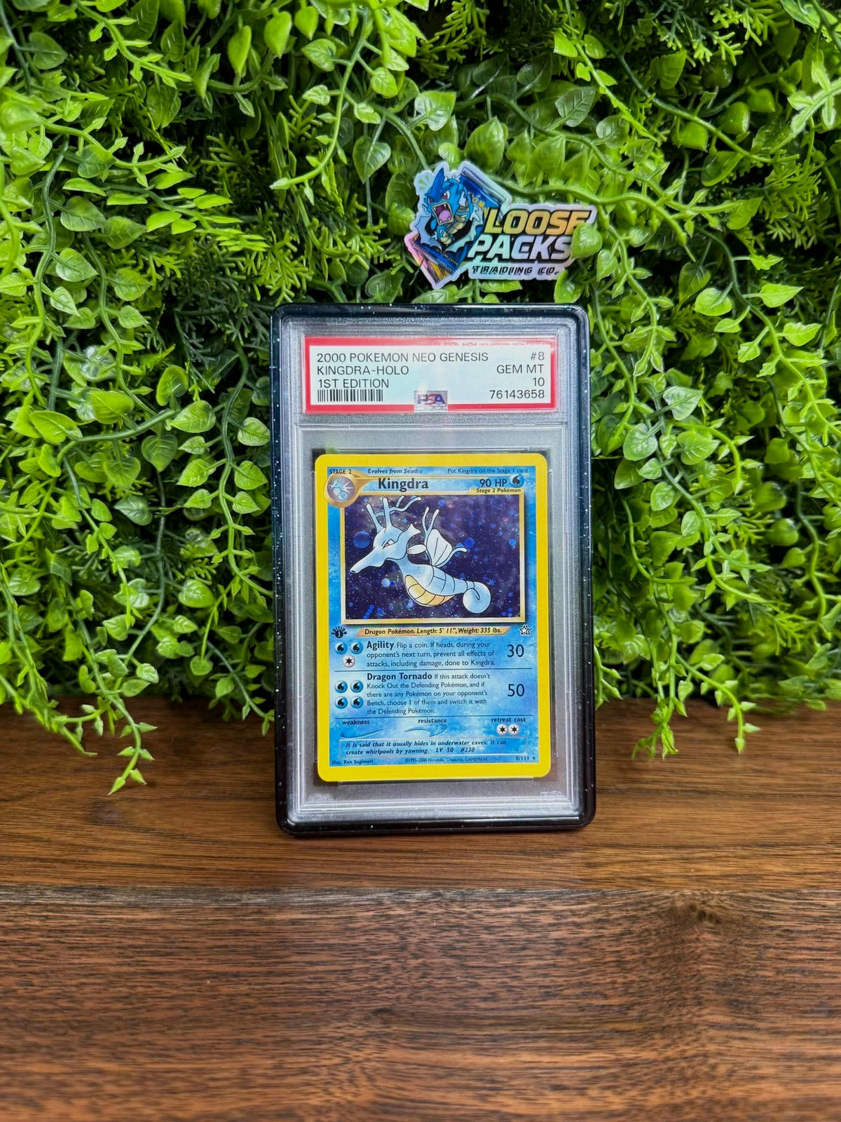 REAL PHOTO 2026-10-15 - PSA 10 Neo Genesis Kingdra Holo #8 (1st Edition) (1wUXkAQPett-yVGkO6YWU1FOKs9_uoOiu-344ec90970b65a9c7e5656005bf44625)