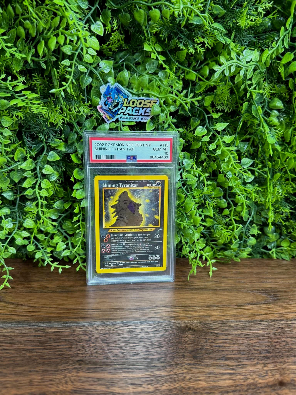 REAL PHOTO 2026-10-15 - PSA 10 Neo Destiny Shining Tyranitar #113 (1MlI7E-AhdoyN-tqtnHzNQ7IQVNoSlHrb-b6bfb45bbca65b522cb2270b5921d96d)