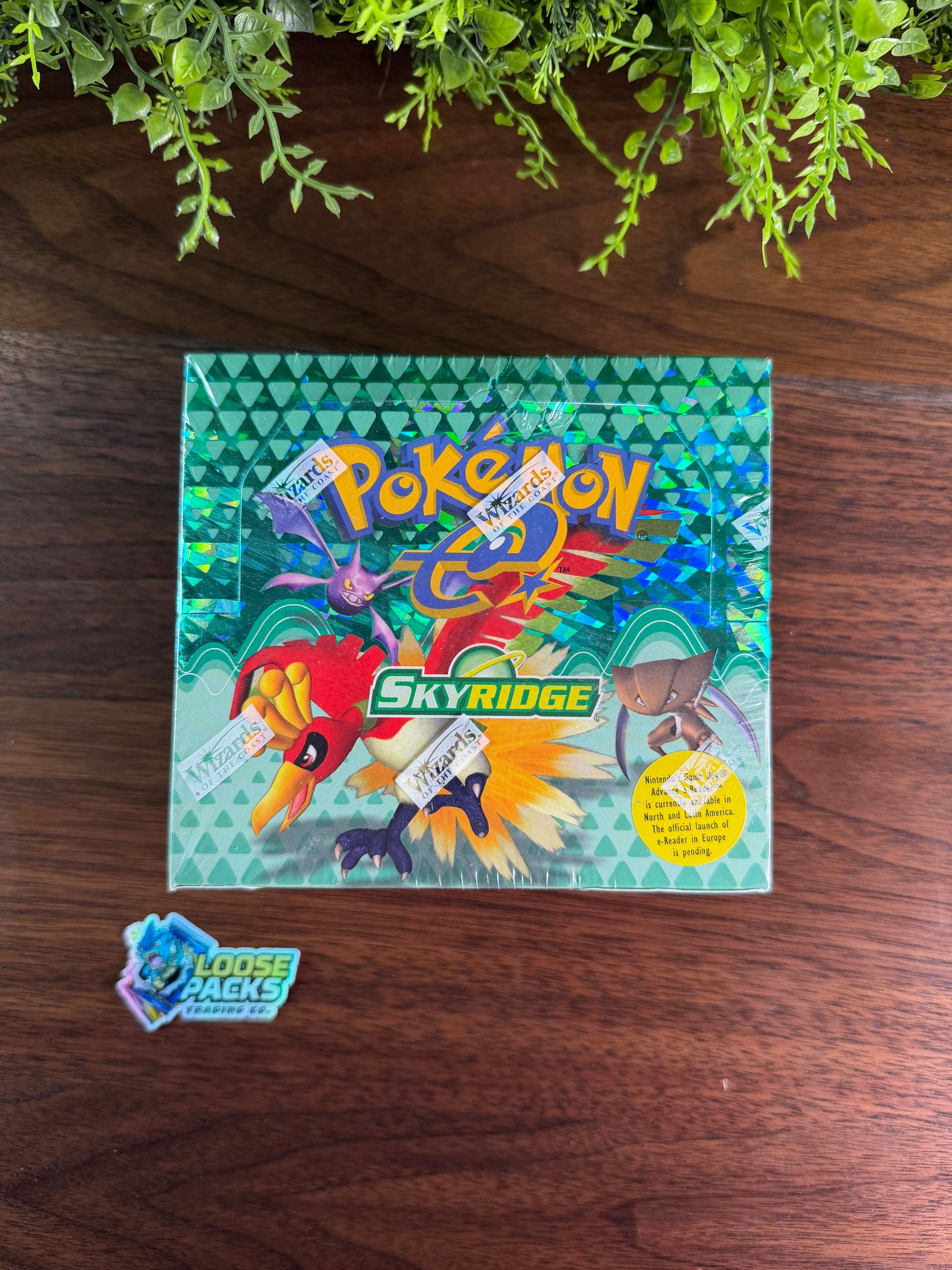 Vintage Skyridge Pokémon Booster Box
