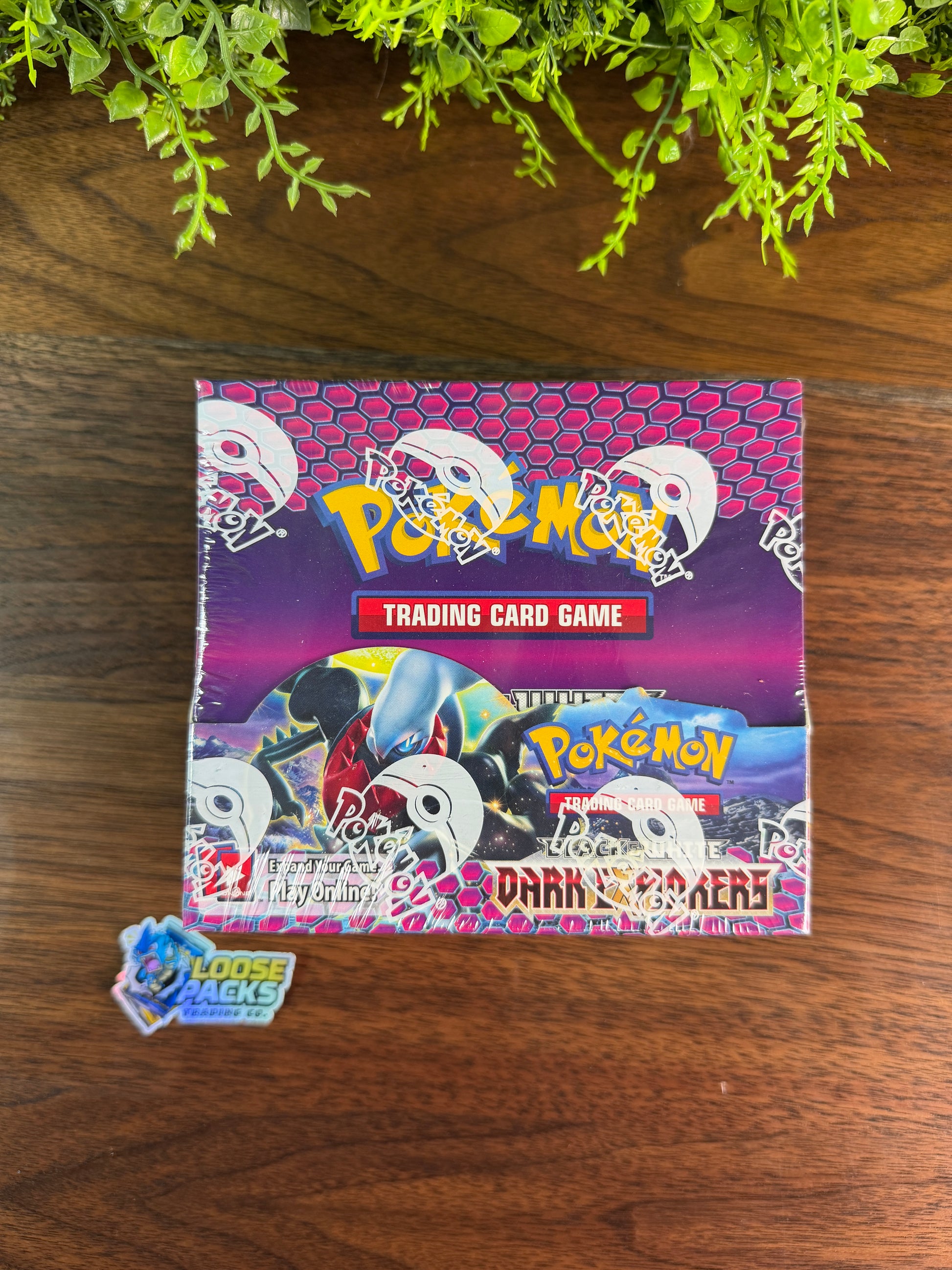 REAL PHOTO 2026-07-26 — B&W Dark Explorers Booster Box (IMG_4528)