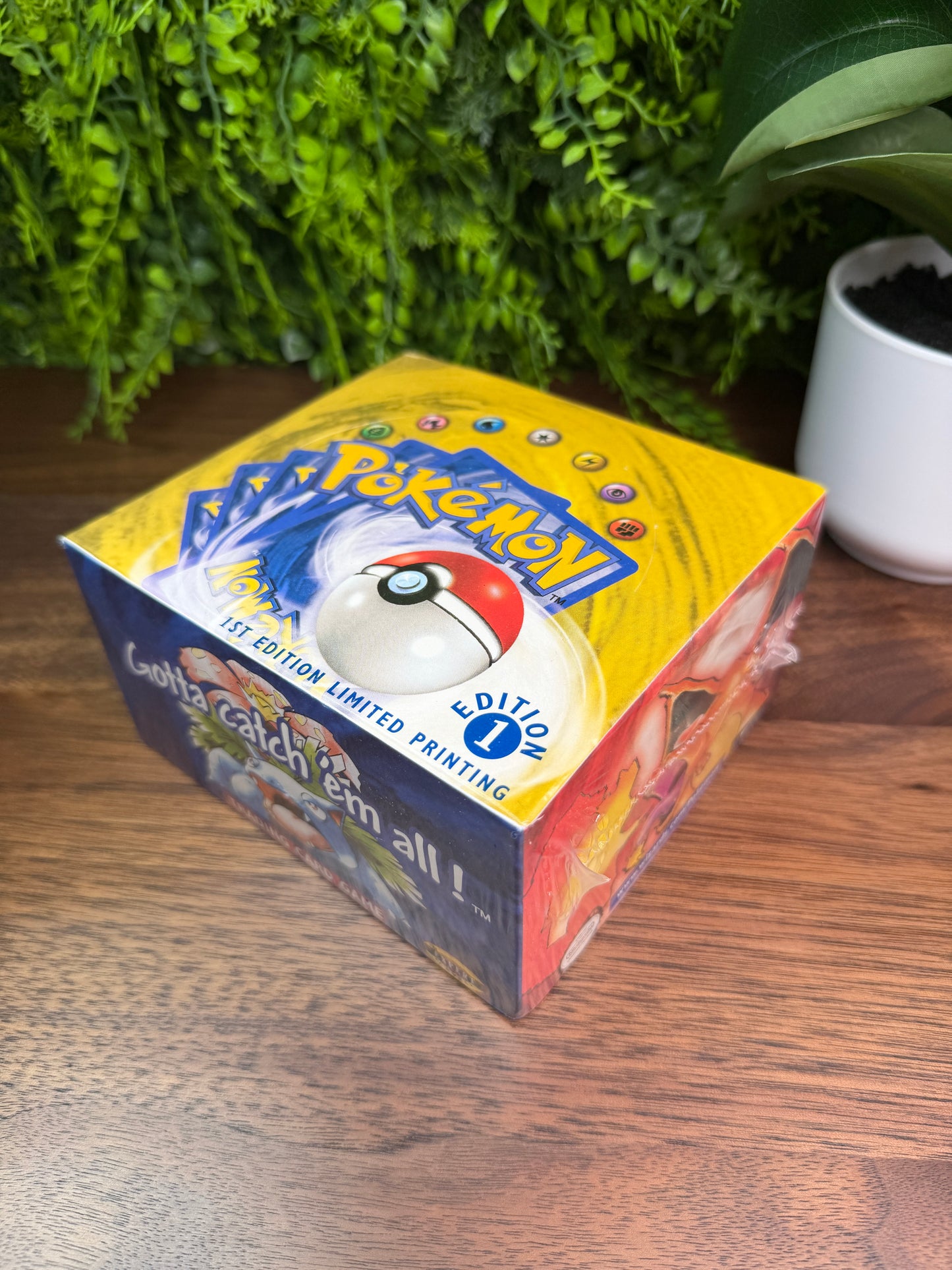 REAL PHOTO 2026-07-26 — Base Set Booster Box 1st Edition Shadowless (IMG_4537)