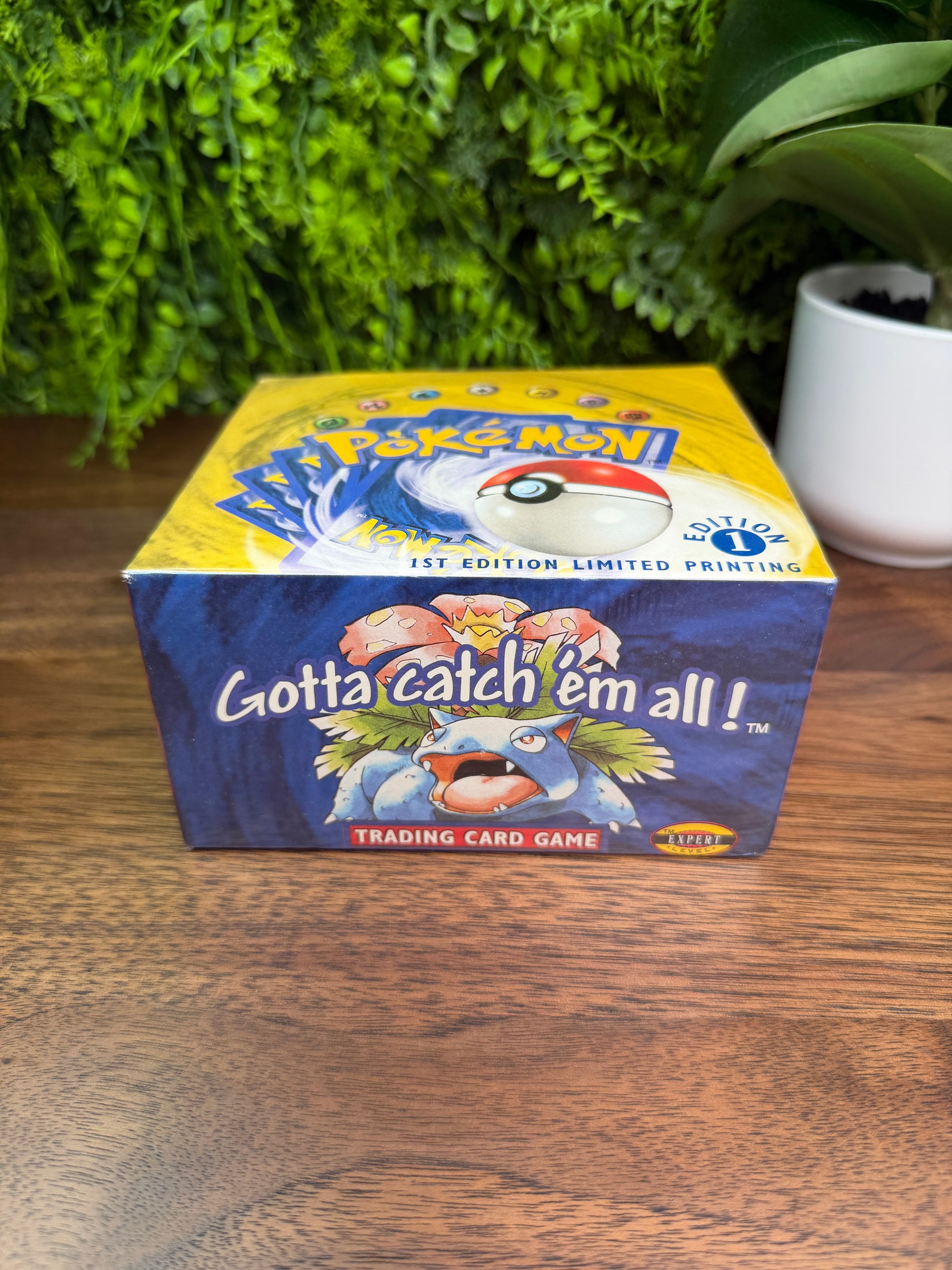 REAL PHOTO 2026-07-26 — Base Set Booster Box 1st Edition Shadowless (IMG_4538)