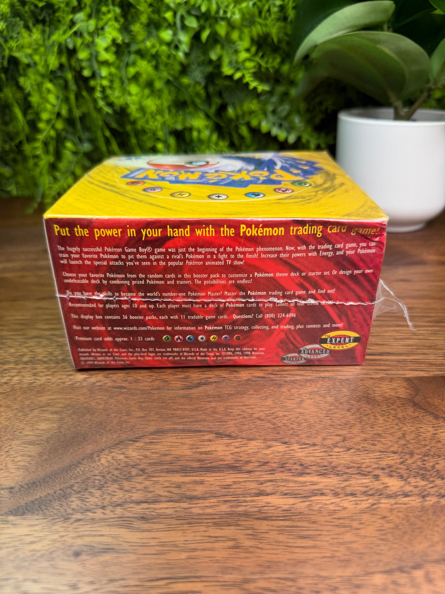 REAL PHOTO 2026-07-26 — Base Set Booster Box 1st Edition Shadowless (IMG_4541)