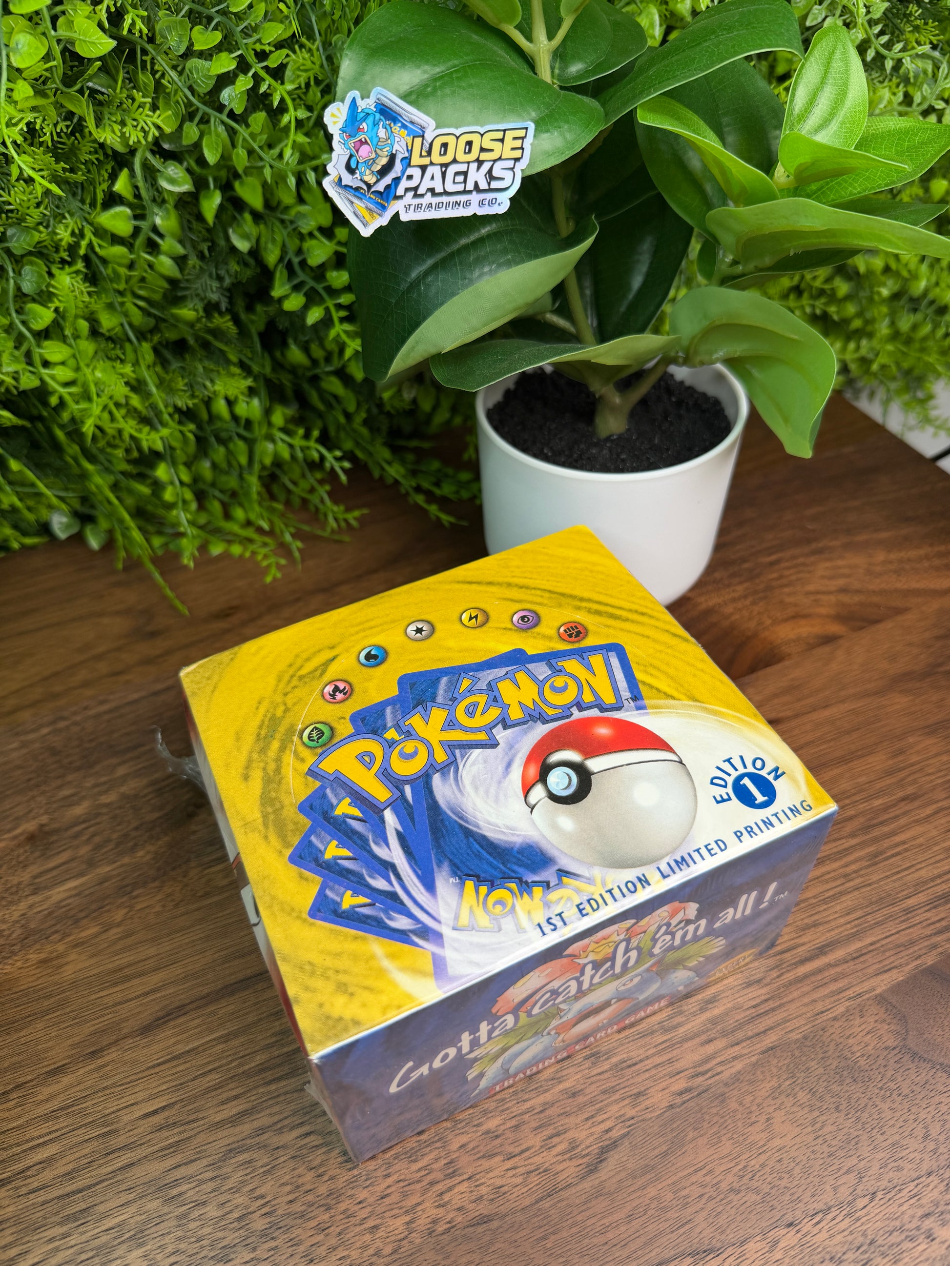REAL PHOTO 2026-07-26 — Base Set Booster Box 1st Edition Shadowless (IMG_4544)