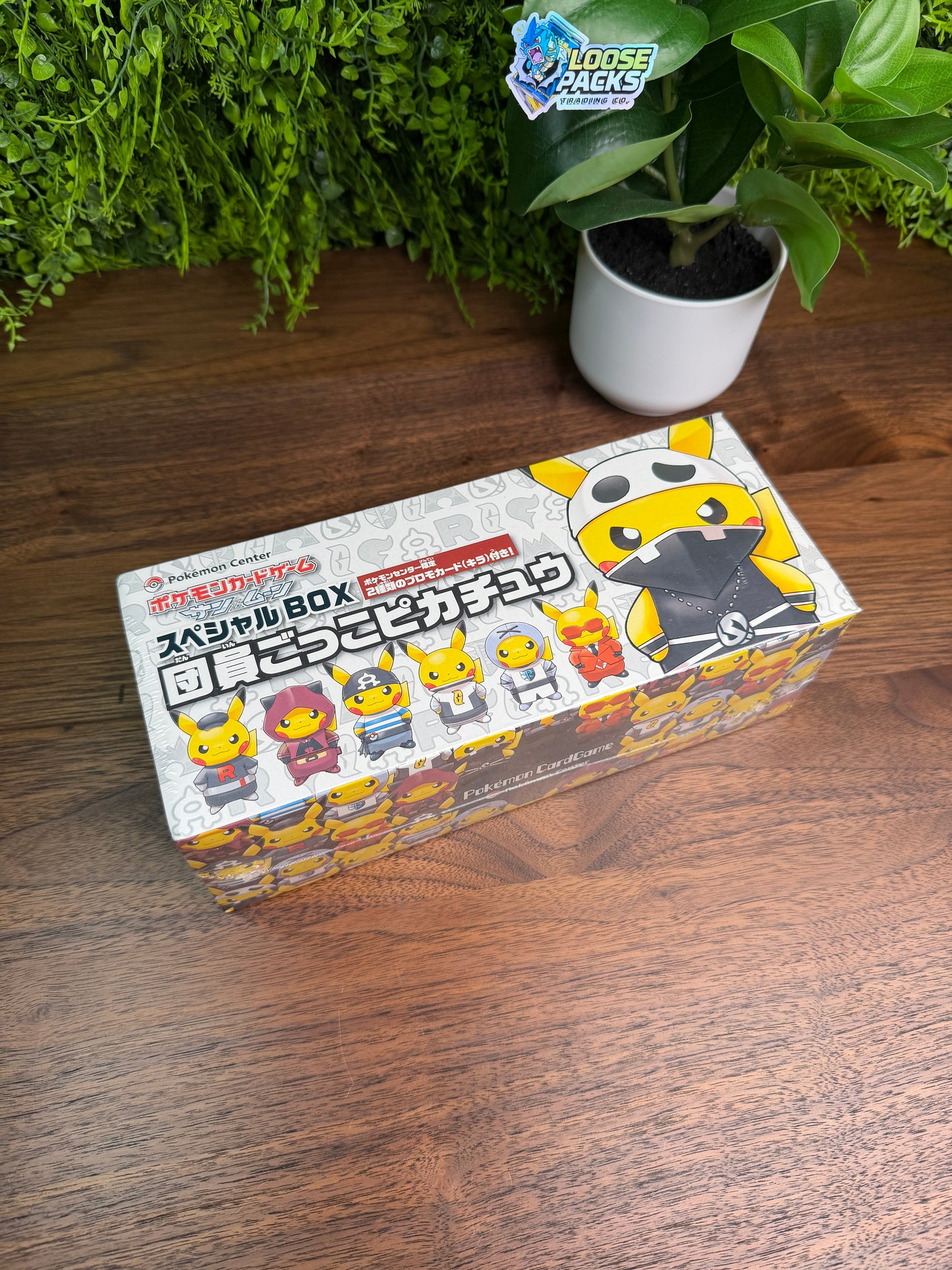REAL PHOTO 2026-07-26 — S&M Pretend Grunt & Skull Pikachu Poncho Box (IMG_4557)