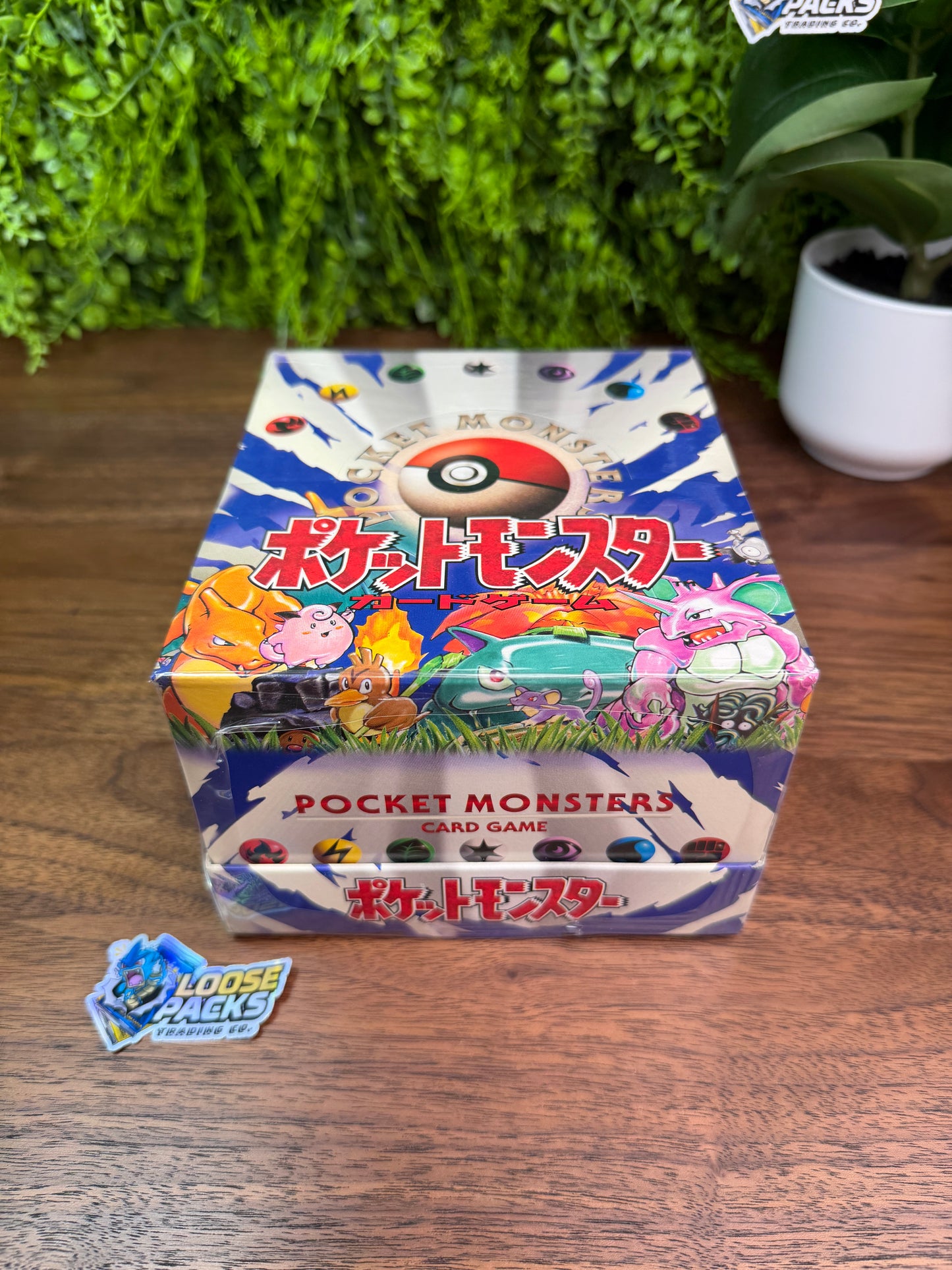REAL PHOTO 2026-07-30 — JPN Base Set Theme Deck Display (IMG_4664)