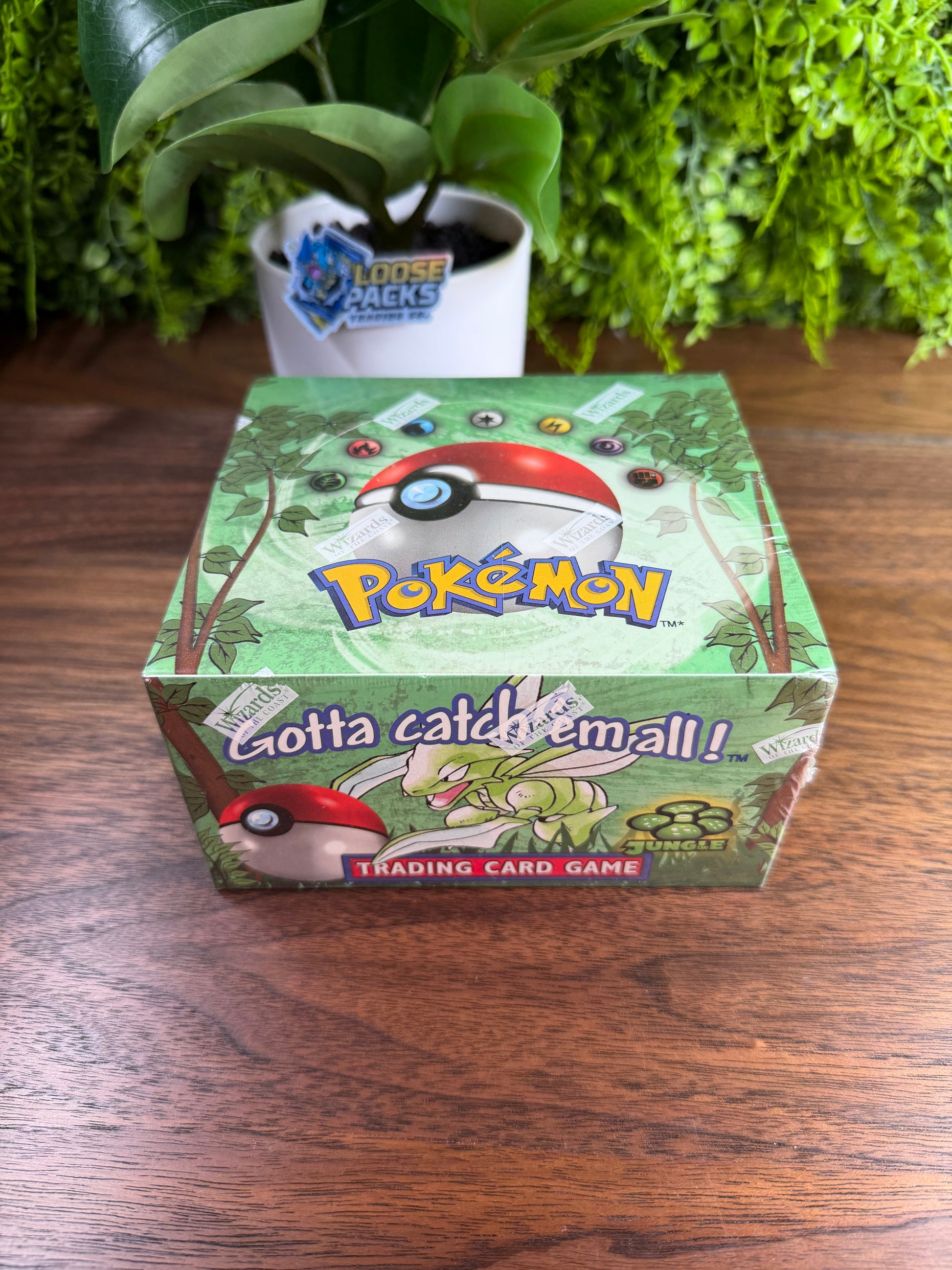 Vintage Jungle Unlimited Pokémon Booster Box