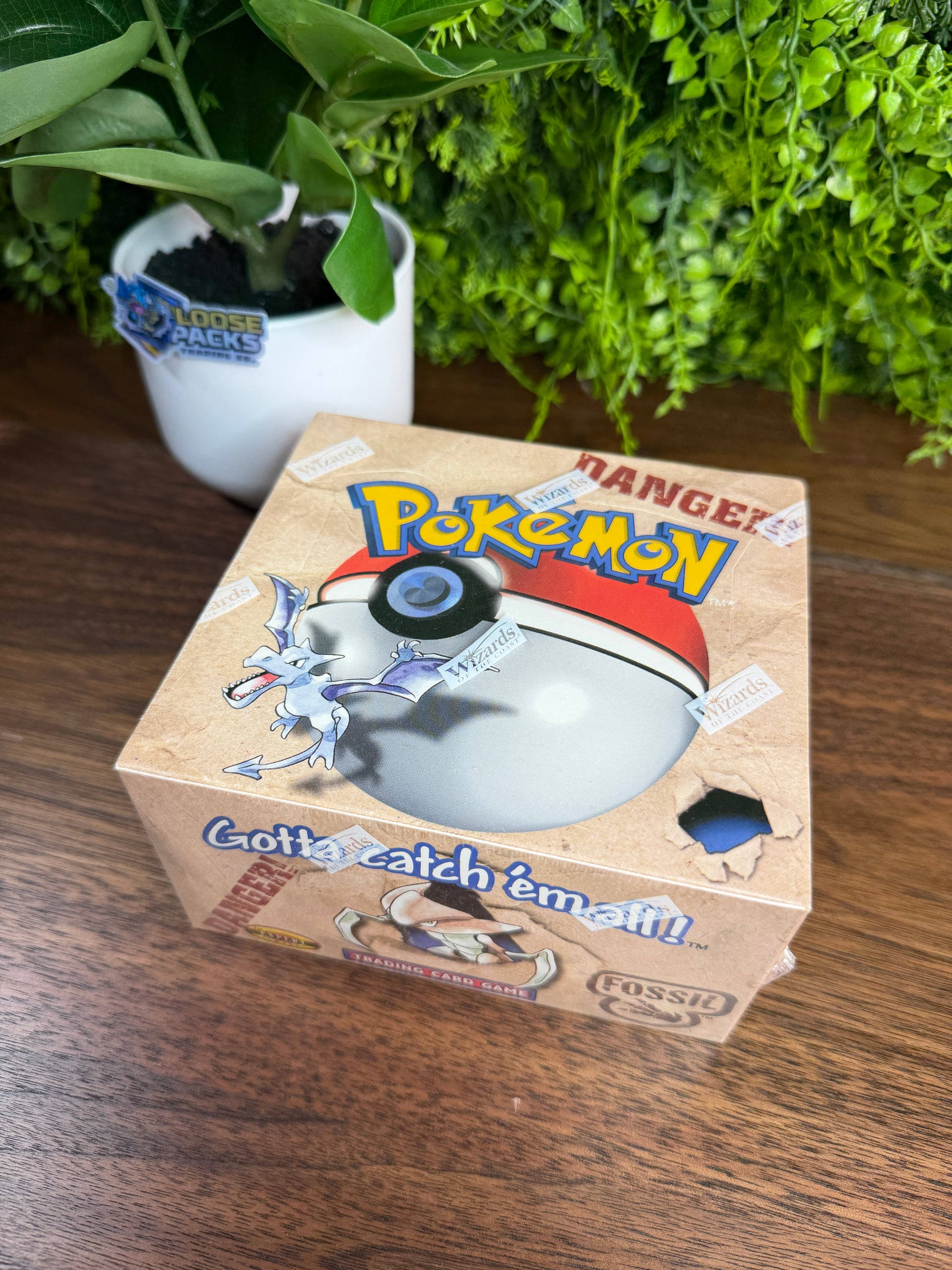 REAL PHOTO 2026-07-30 — Fossil Booster Box Unlimited (IMG_4675) — mint - additional angle