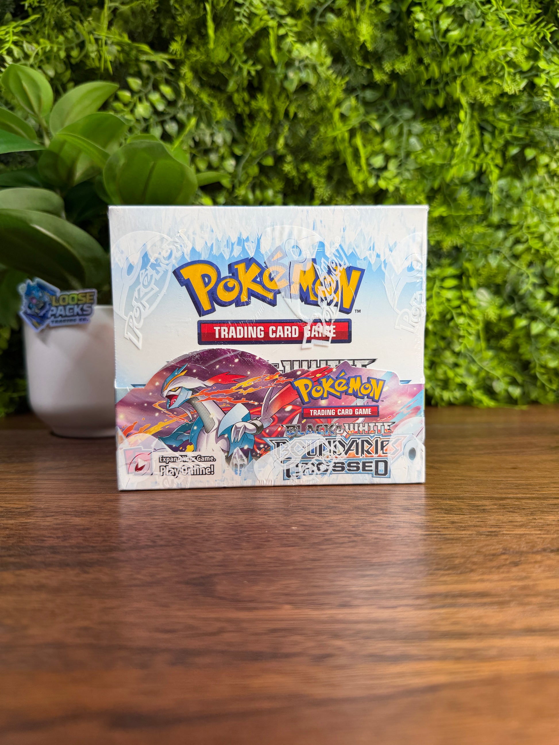 REAL PHOTO 2026-07-30 — B&W Boundaries Crossed Booster Box (IMG_4681)