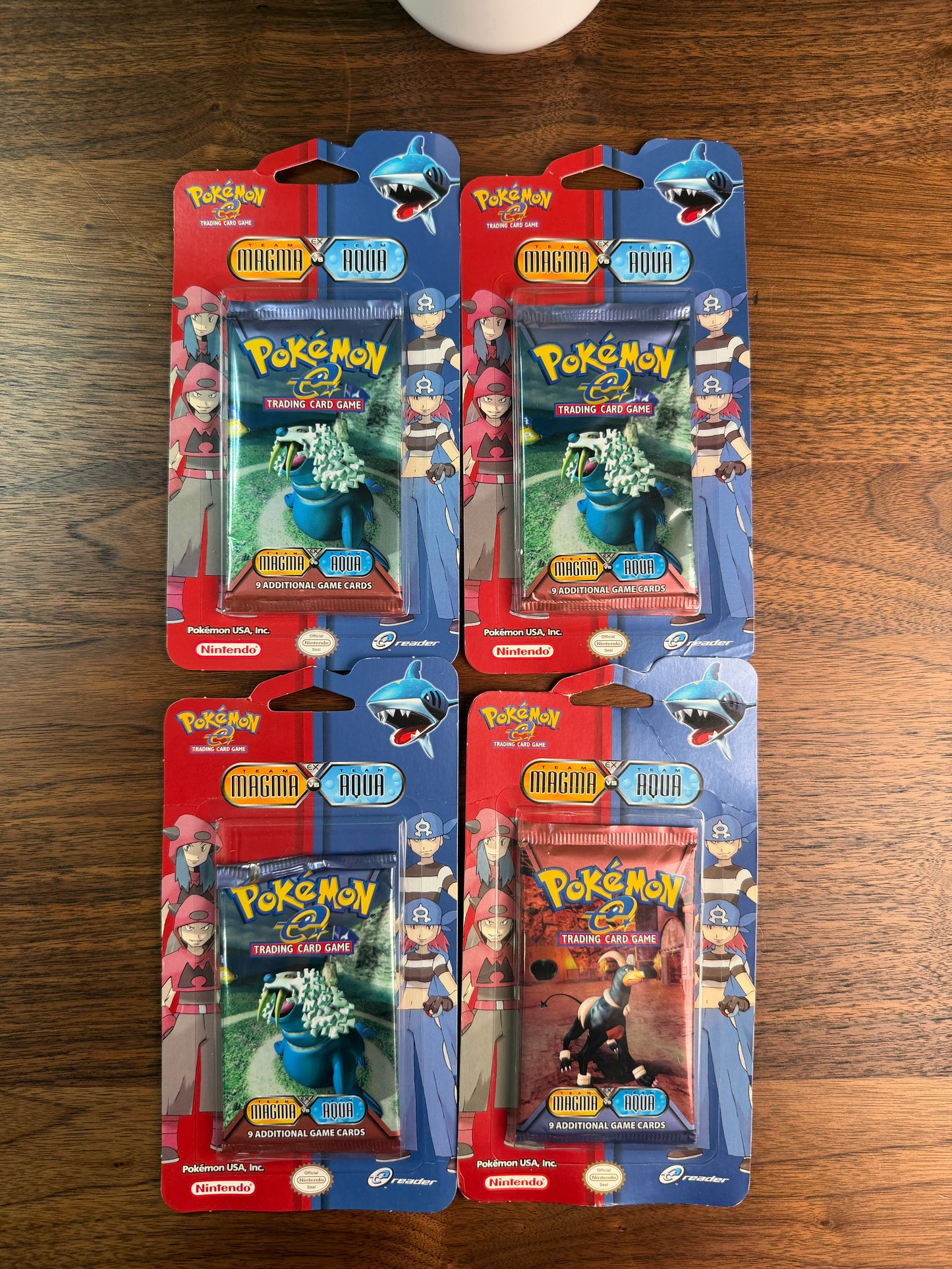 EX Team Aqua Vs. Team Magma Pokémon Blister