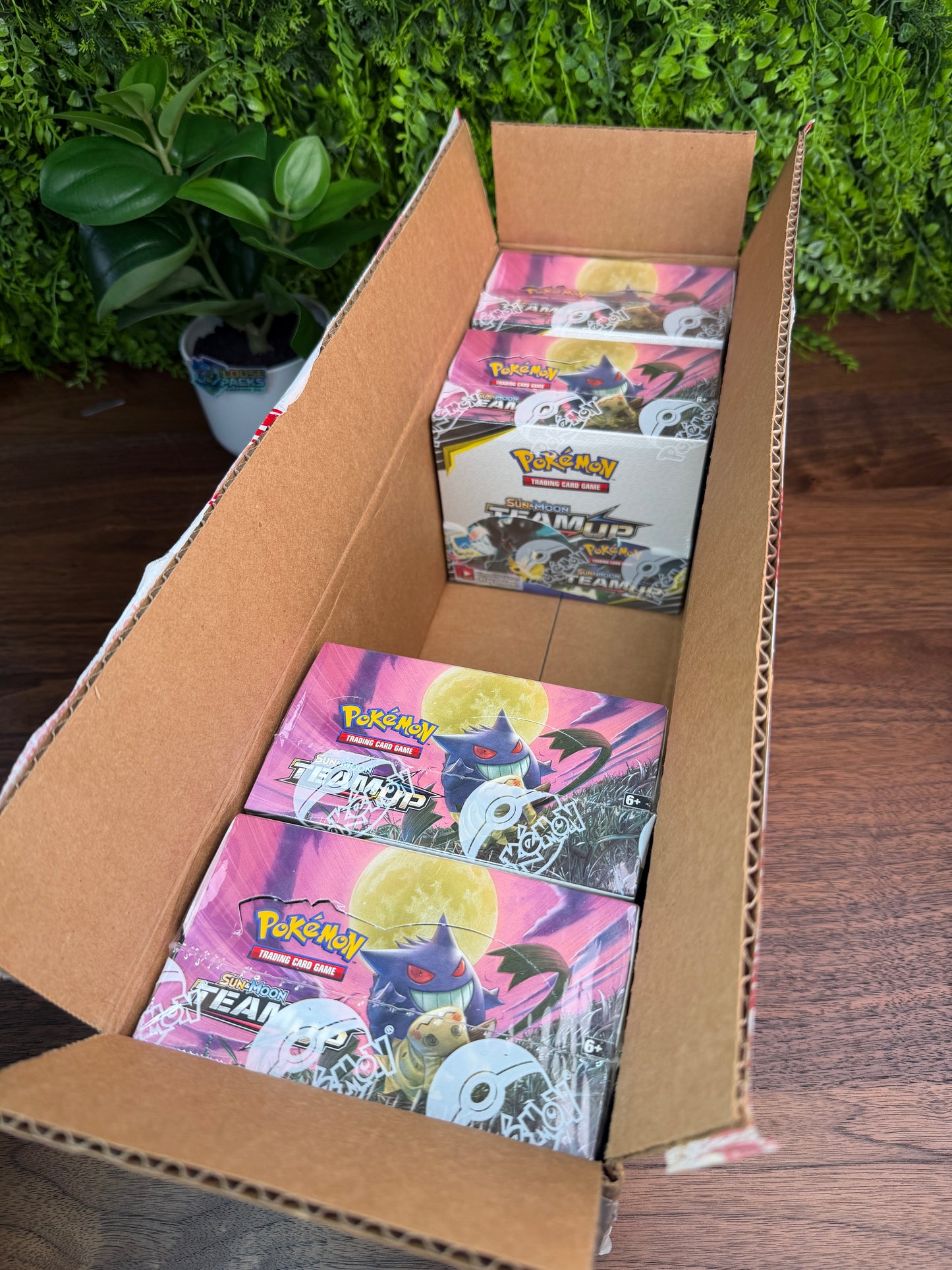 REAL PHOTO 2026-08-01 — S&M Team Up Booster Box (IMG_4733)