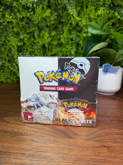 REAL PHOTO 2026-08-04 — B&W Base Set Booster Box (IMG_4769)