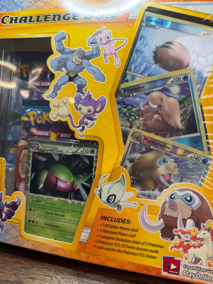 REAL PHOTO 2026-08-03 — HS Prime Challenge Collection Box (IMG_4784)