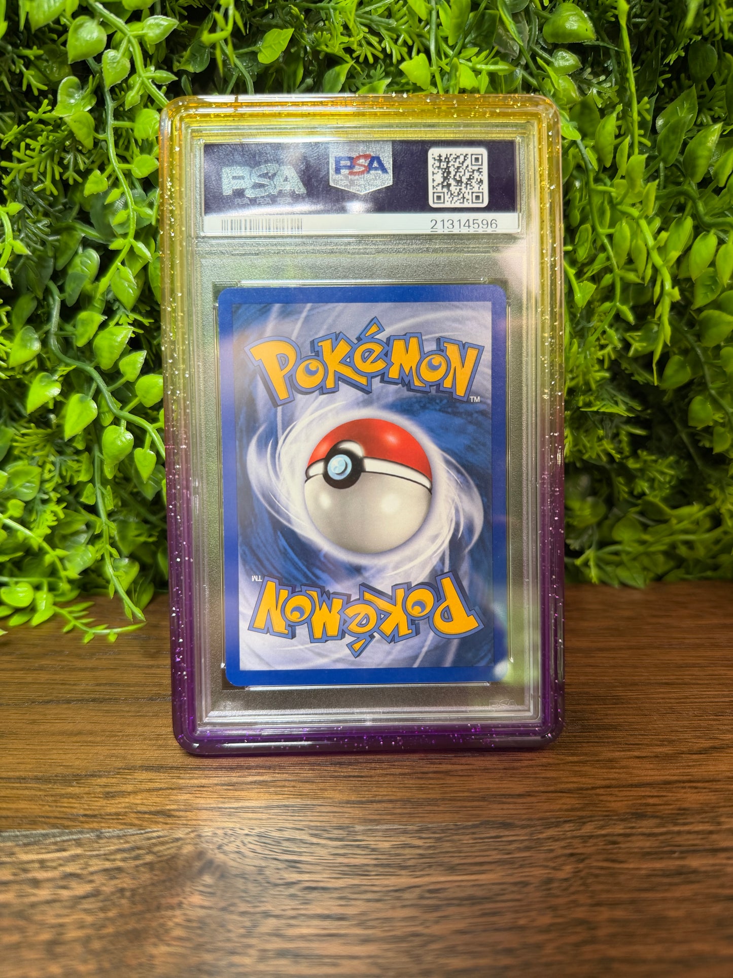 REAL PHOTO 2026-08-08 — PSA 10 Gengar ex FireRed & LeafGreen (IMG_5040)