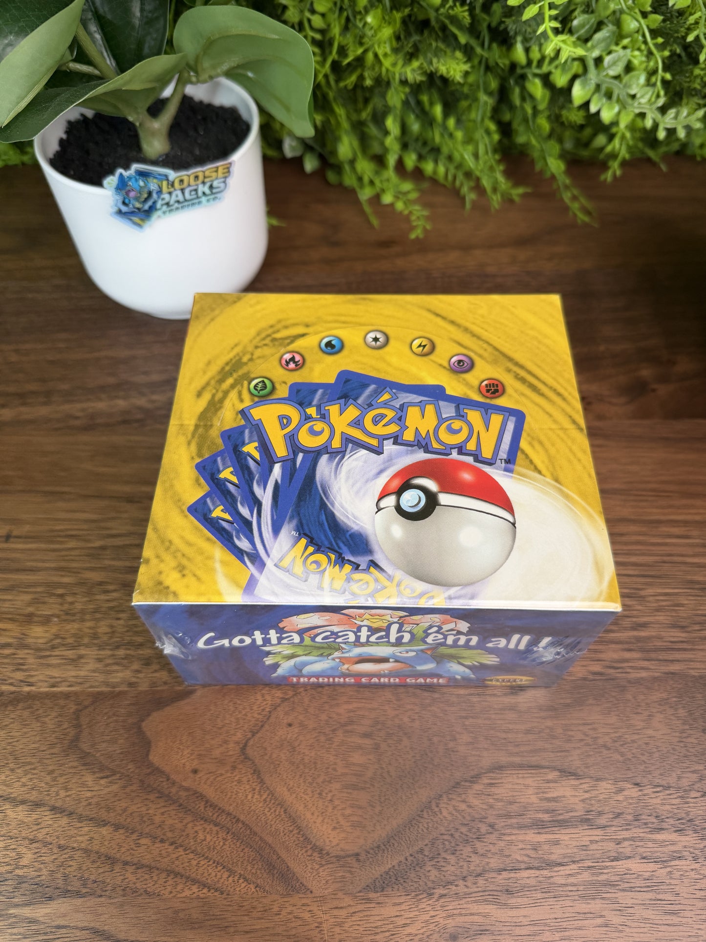 REAL PHOTO 2026-08-19 - Base Set Shadowless Booster Box Unlimited (IMG_5340)