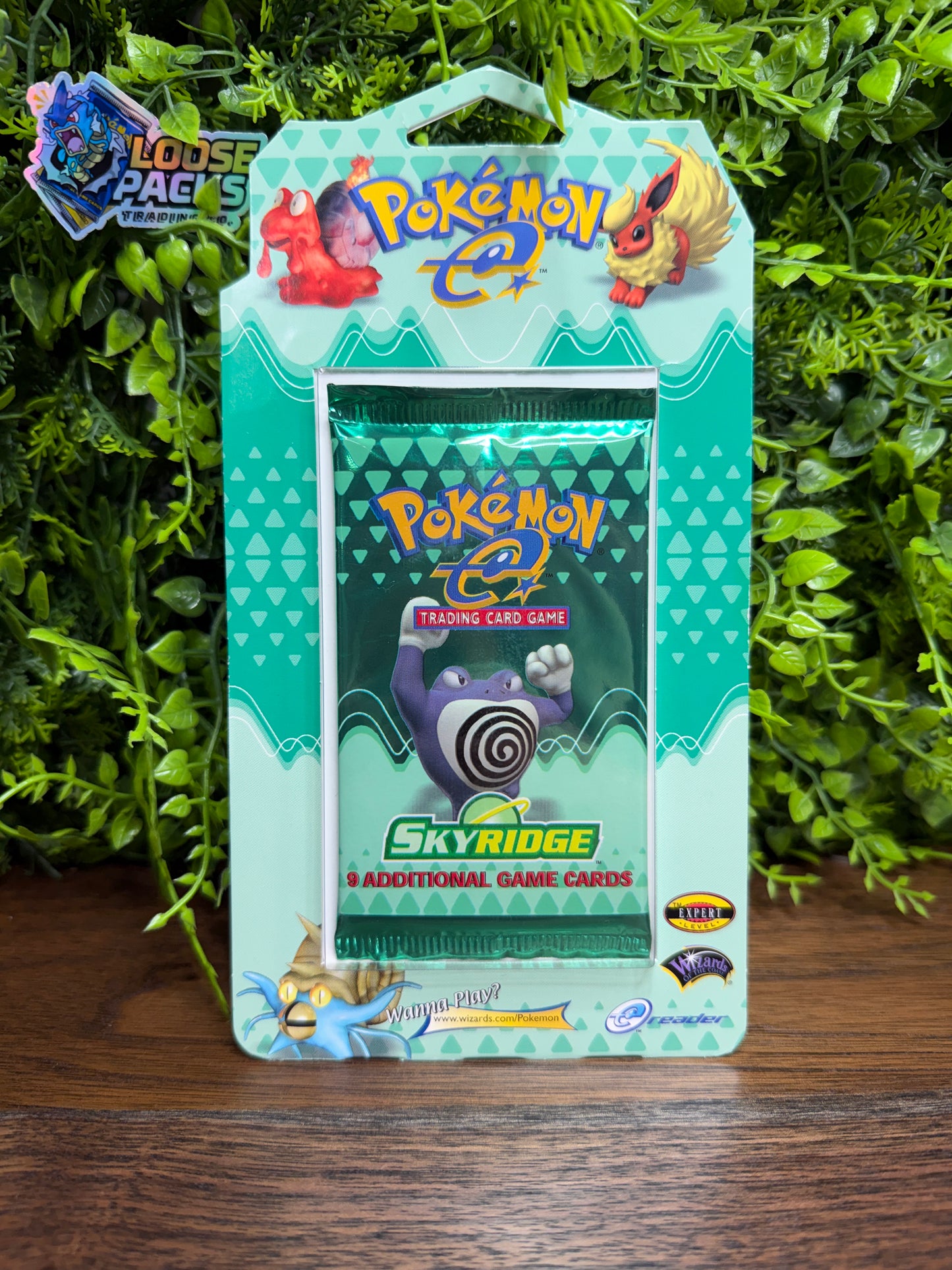 Skyridge Blister Poliwrath (IMG_5574)