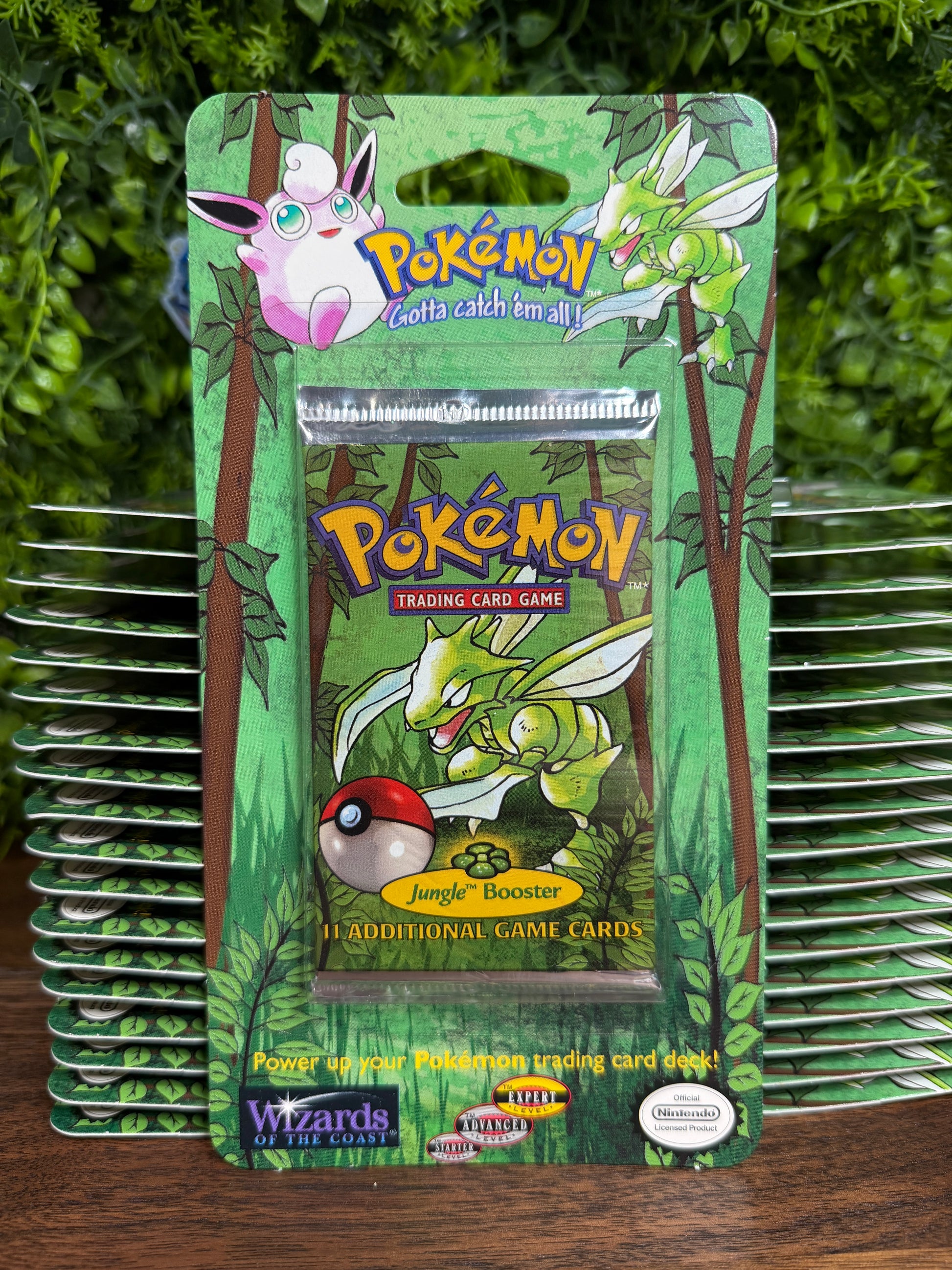 jungle booster box opening Vintage Pokémon Blister Pansage Two of the most Booster DIMENSIONAL PHASE [BT11] Transparent pouch kit for::Base Game Kit + 1 Extensions
