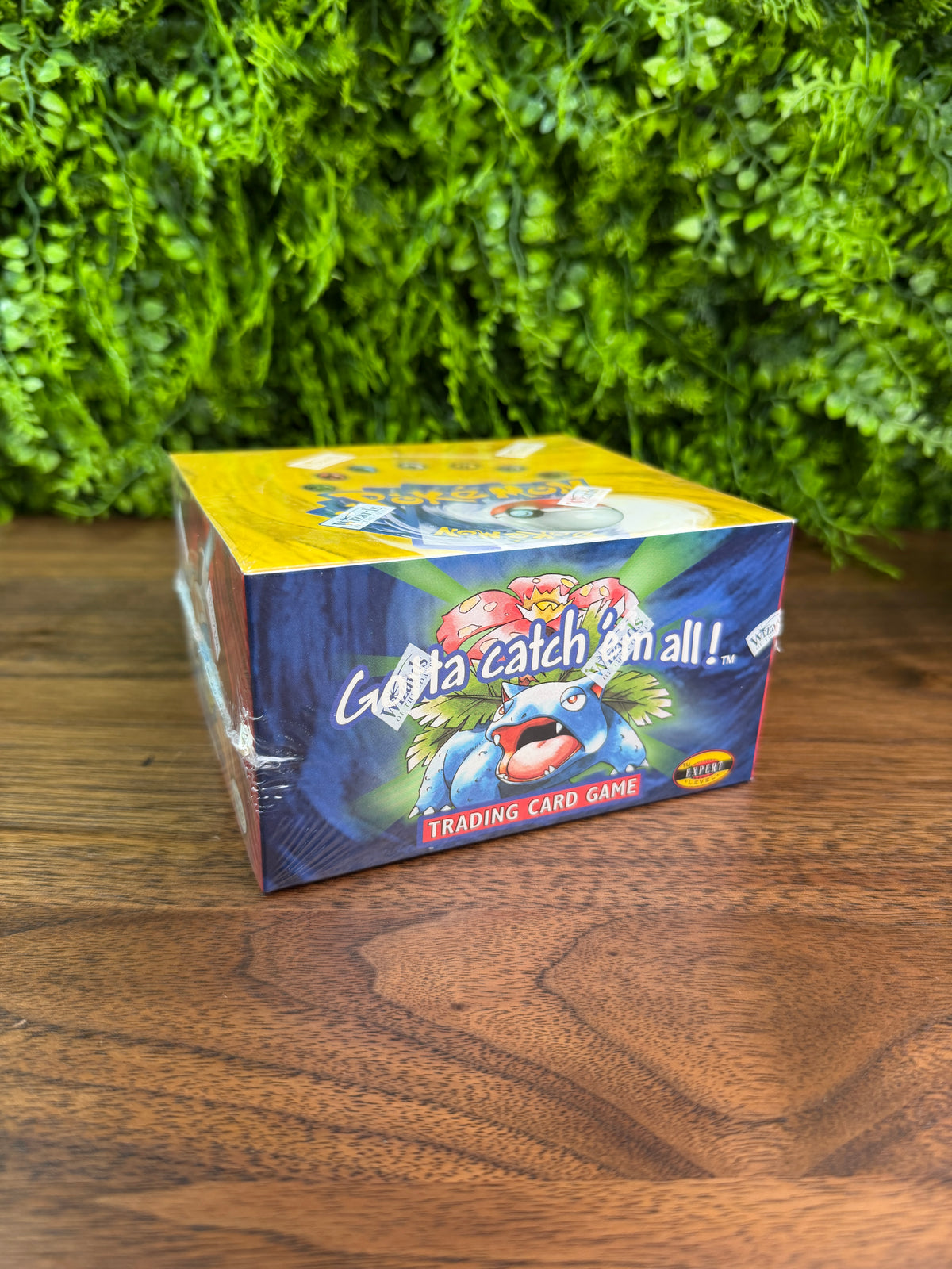 Base Set Booster Box Unlimited (IMG_5738)