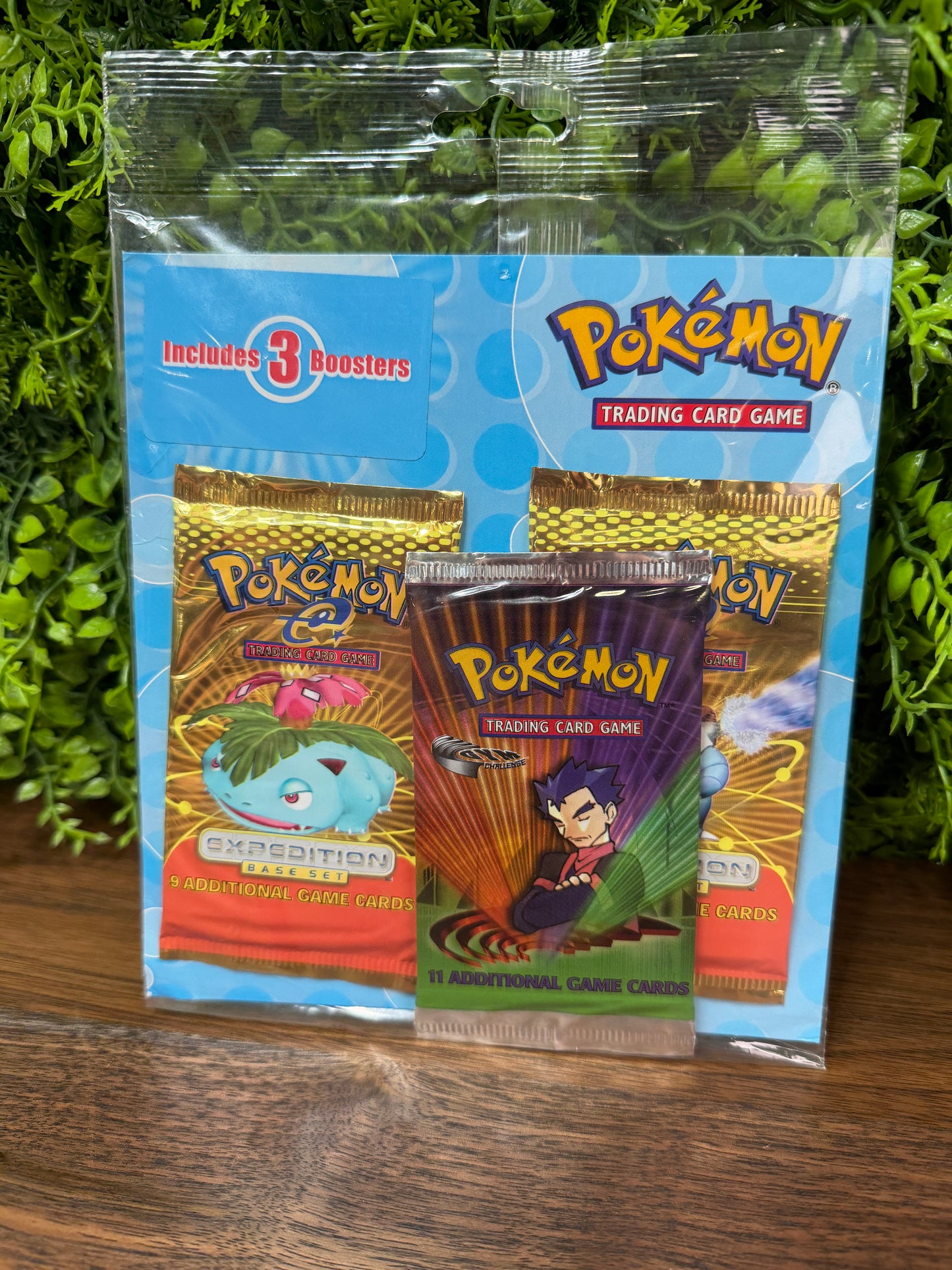 Expedition x2 & Gym Challenge League Promo Blister IRL (IMG_5762)