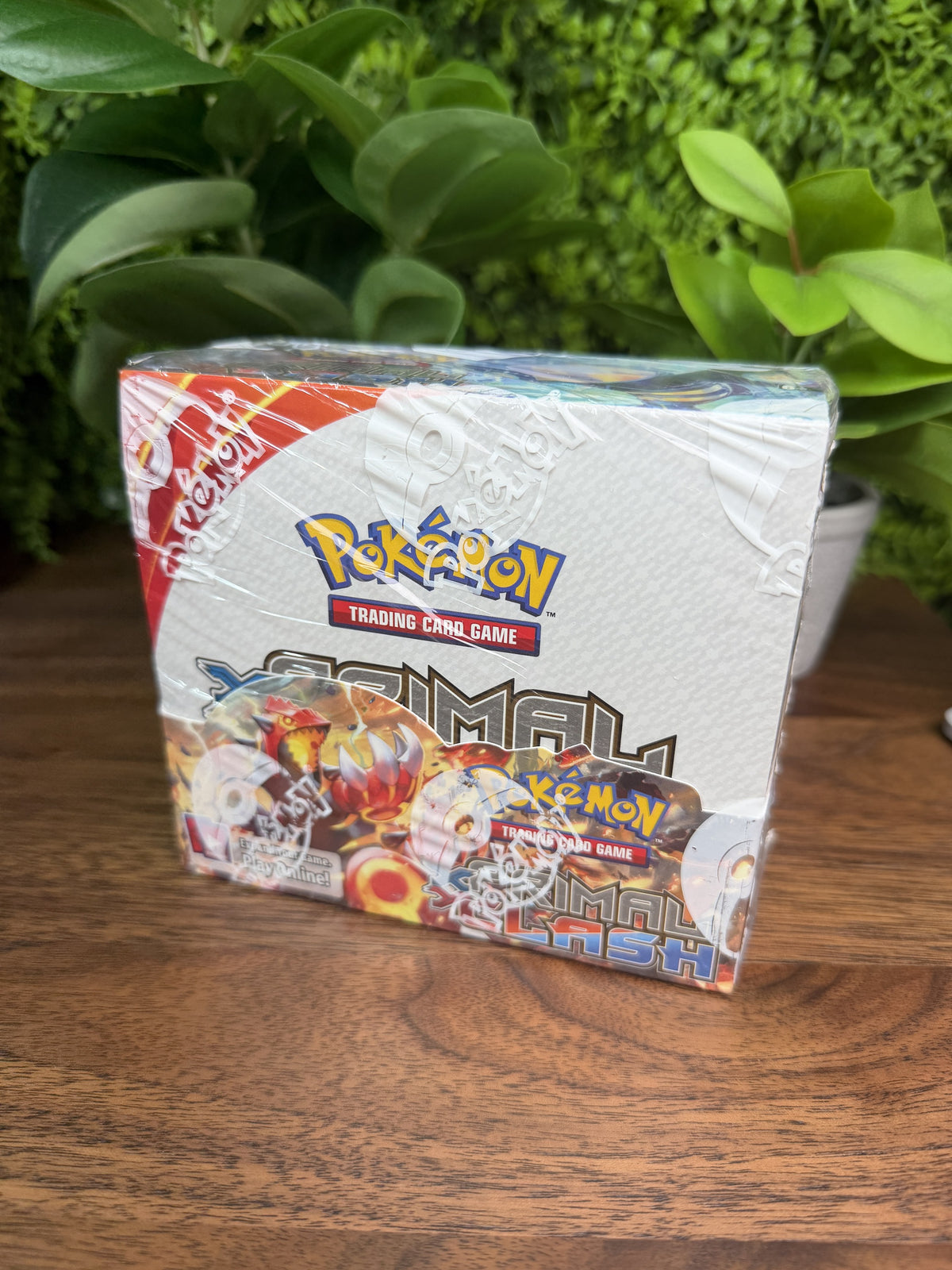 XY Primal Clash Booster Box IRL (IMG_5815)