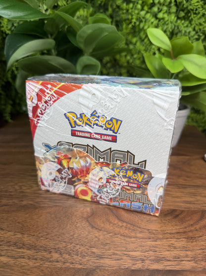 XY Primal Clash Booster Box IRL (IMG_5815)