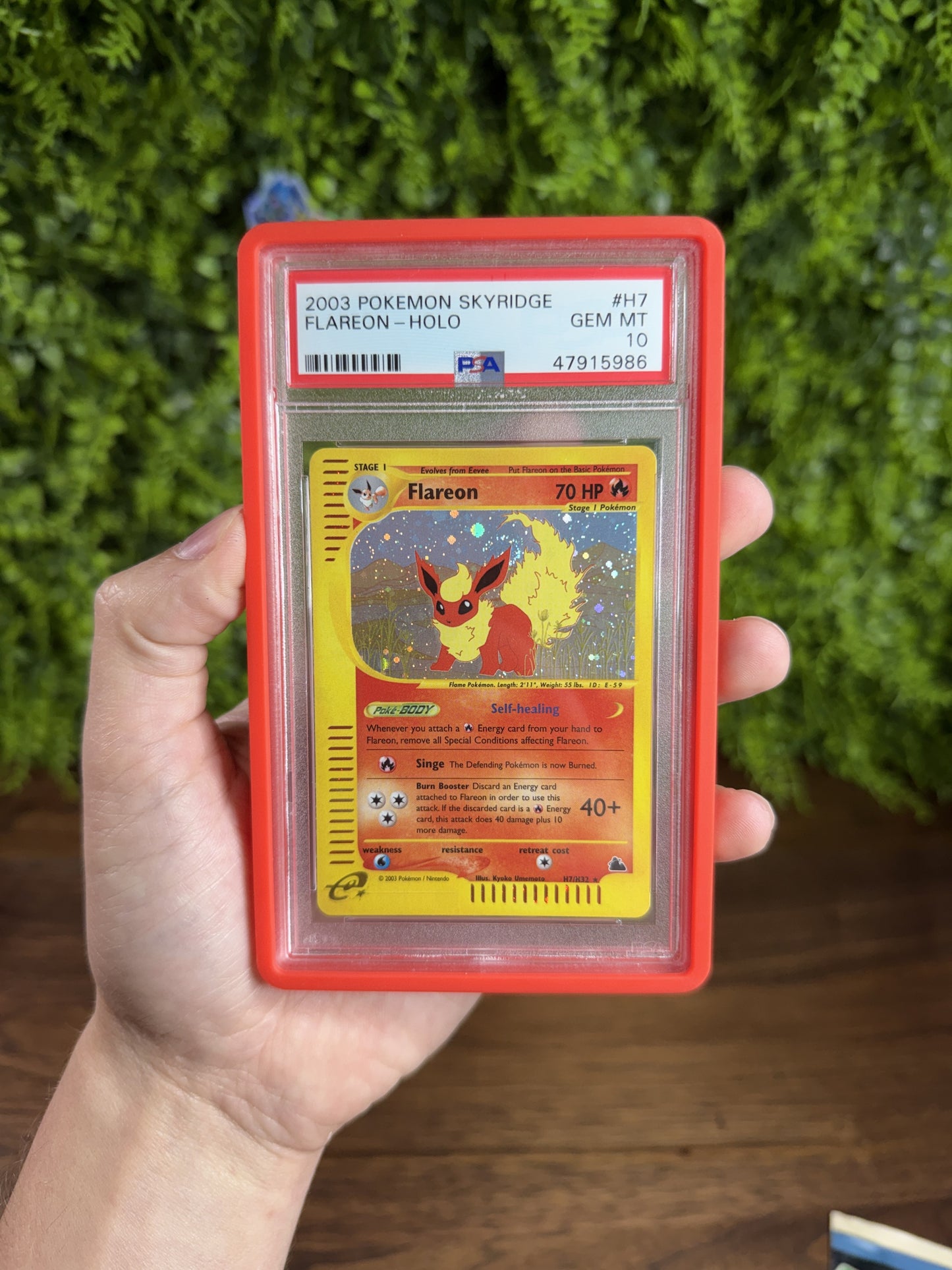 PSA 10 Skyridge Flareon H7 (Holo) IRL cert 47915986 (IMG_5816)