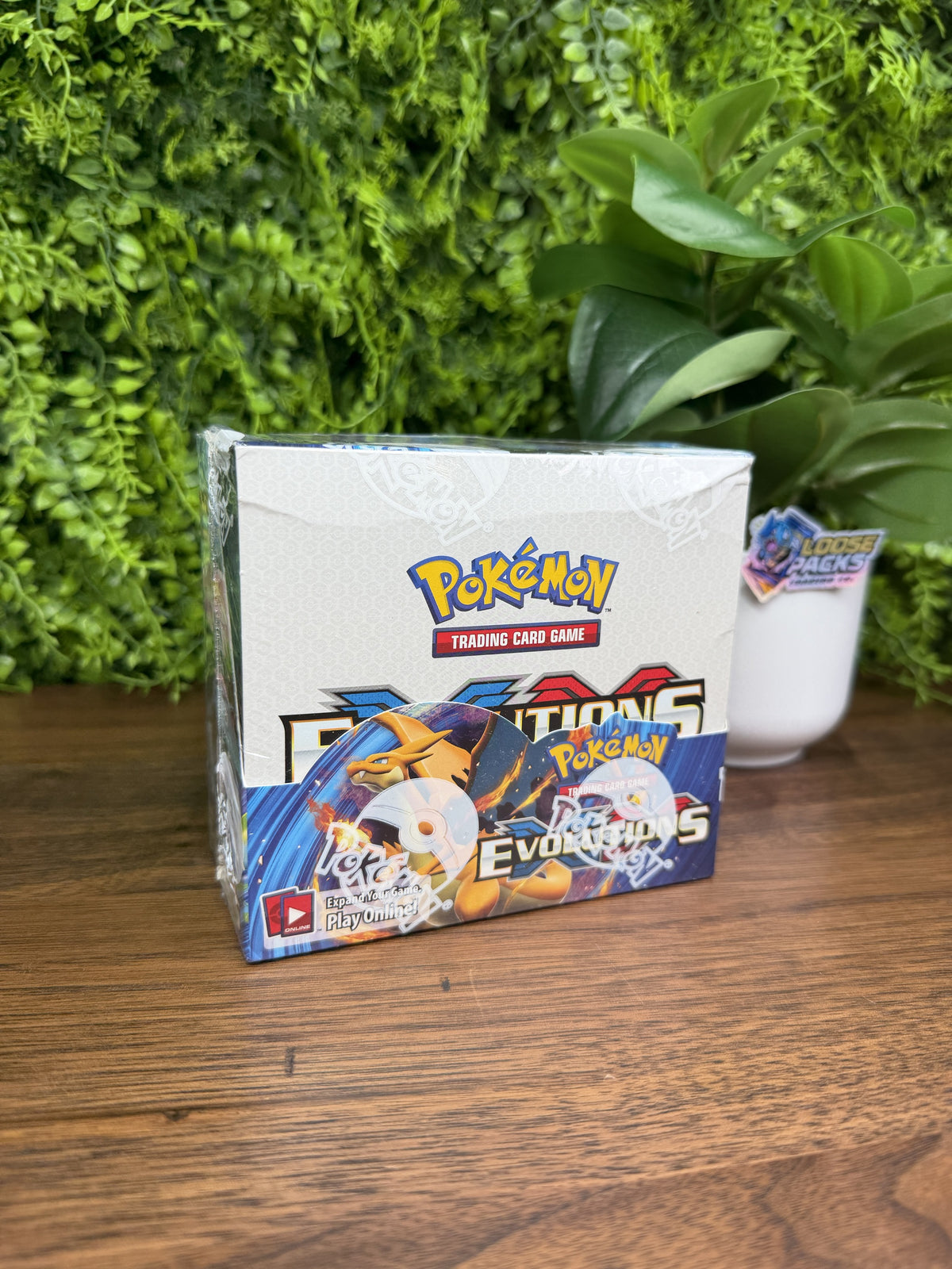 REAL PHOTO 2026-09-16 - XY Evolutions Booster Box (IMG_6340)