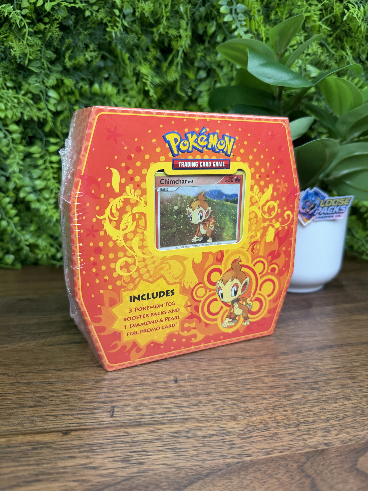 REAL PHOTO 2026-09-16 - Classic Trio Box Chimchar (IMG_6345)