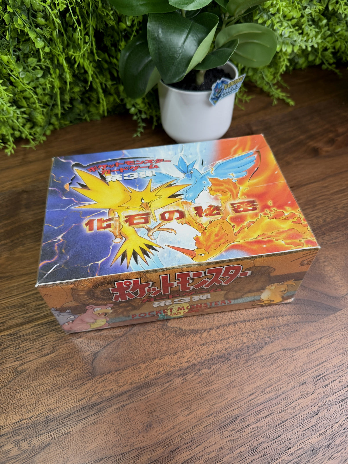 REAL PHOTO 2026-09-26 - Japanese Mystery of the Fossils Booster Box (IMG_6611)