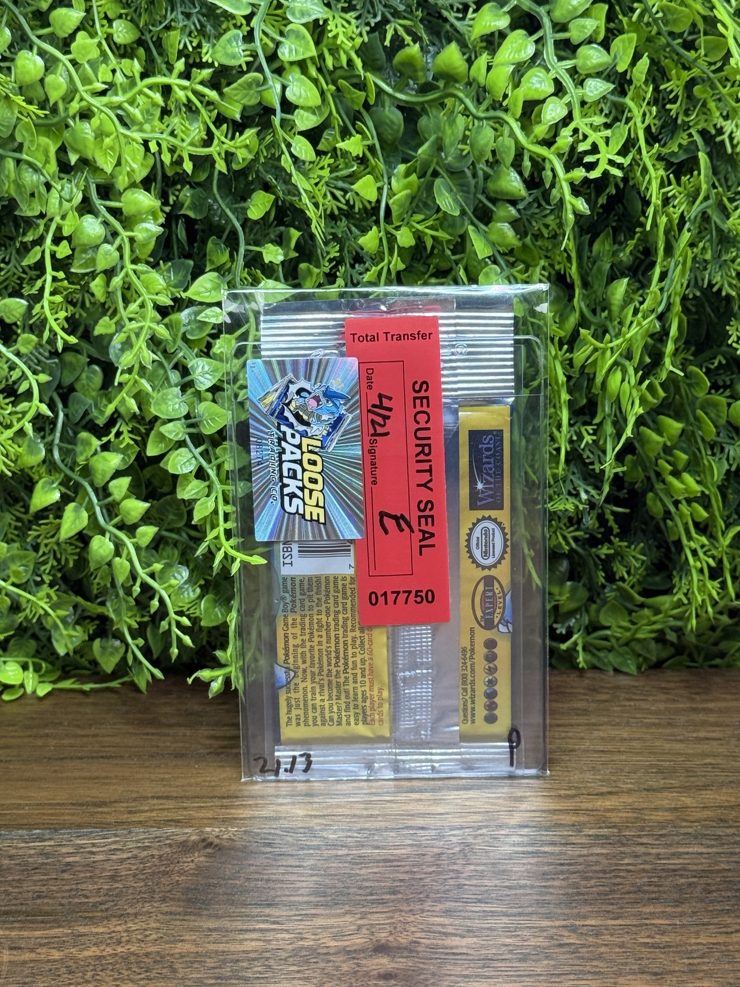 REAL PHOTO 2026-08-20 - Base Set Hanger - Heavy Blastoise (IMG_6849)
