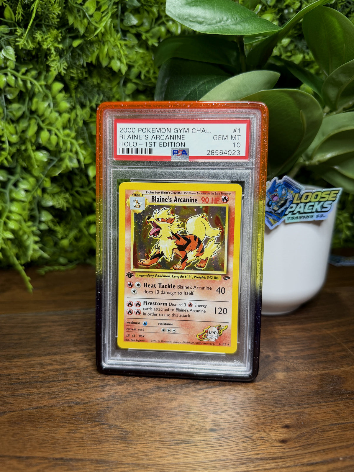 REAL PHOTO 2026-10-05 - PSA 10 Gym Challenge Blaine's Arcanine #1 1st Edition (Holo) (IMG_7001)