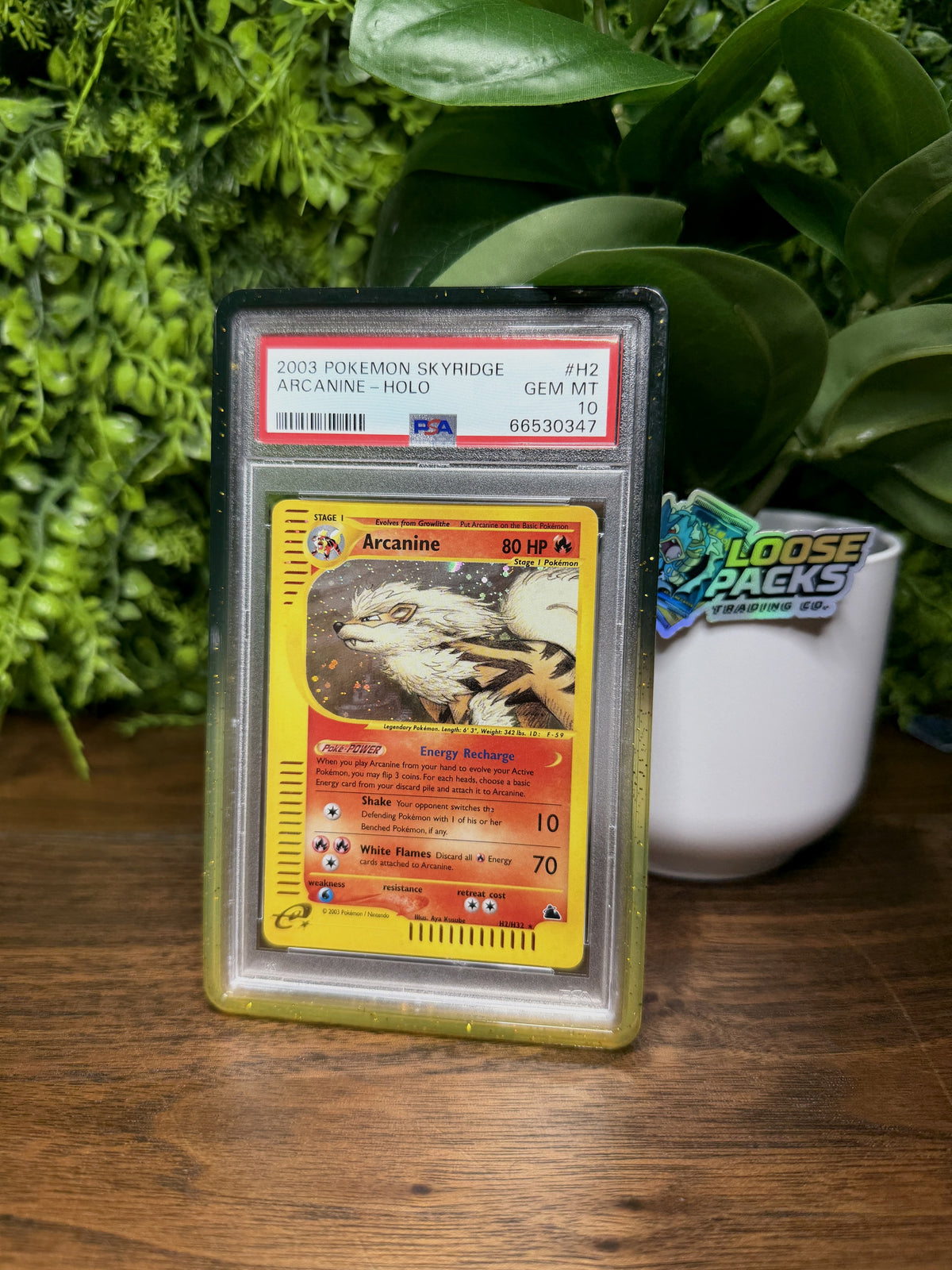 REAL PHOTO 2026-10-05 - PSA 10 Skyridge Arcanine H2 (Holo) (IMG_7003)