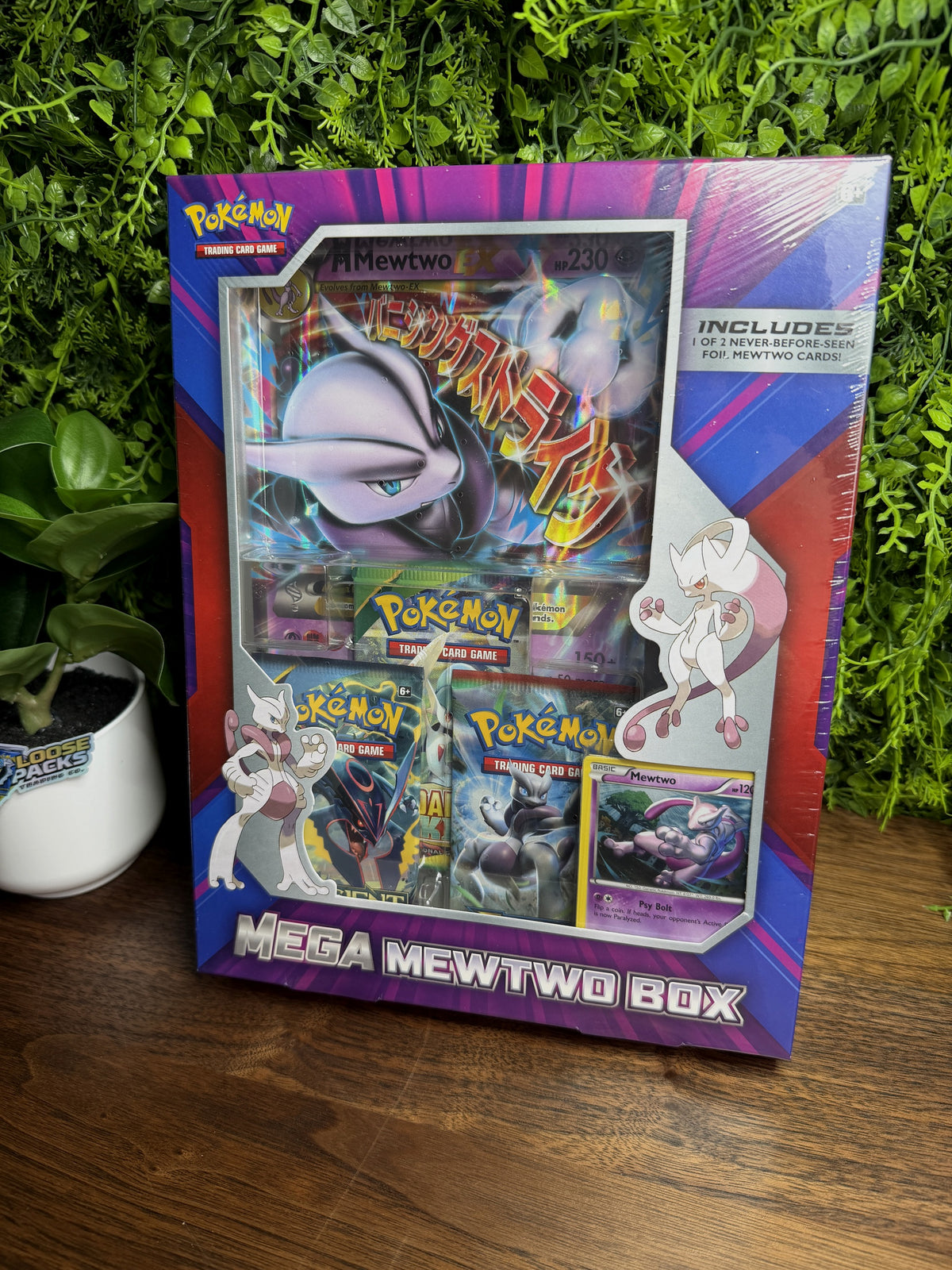 REAL PHOTO 2026-10-05 - Mega Mewtwo X Jumbo Collection Box (IMG_7045)
