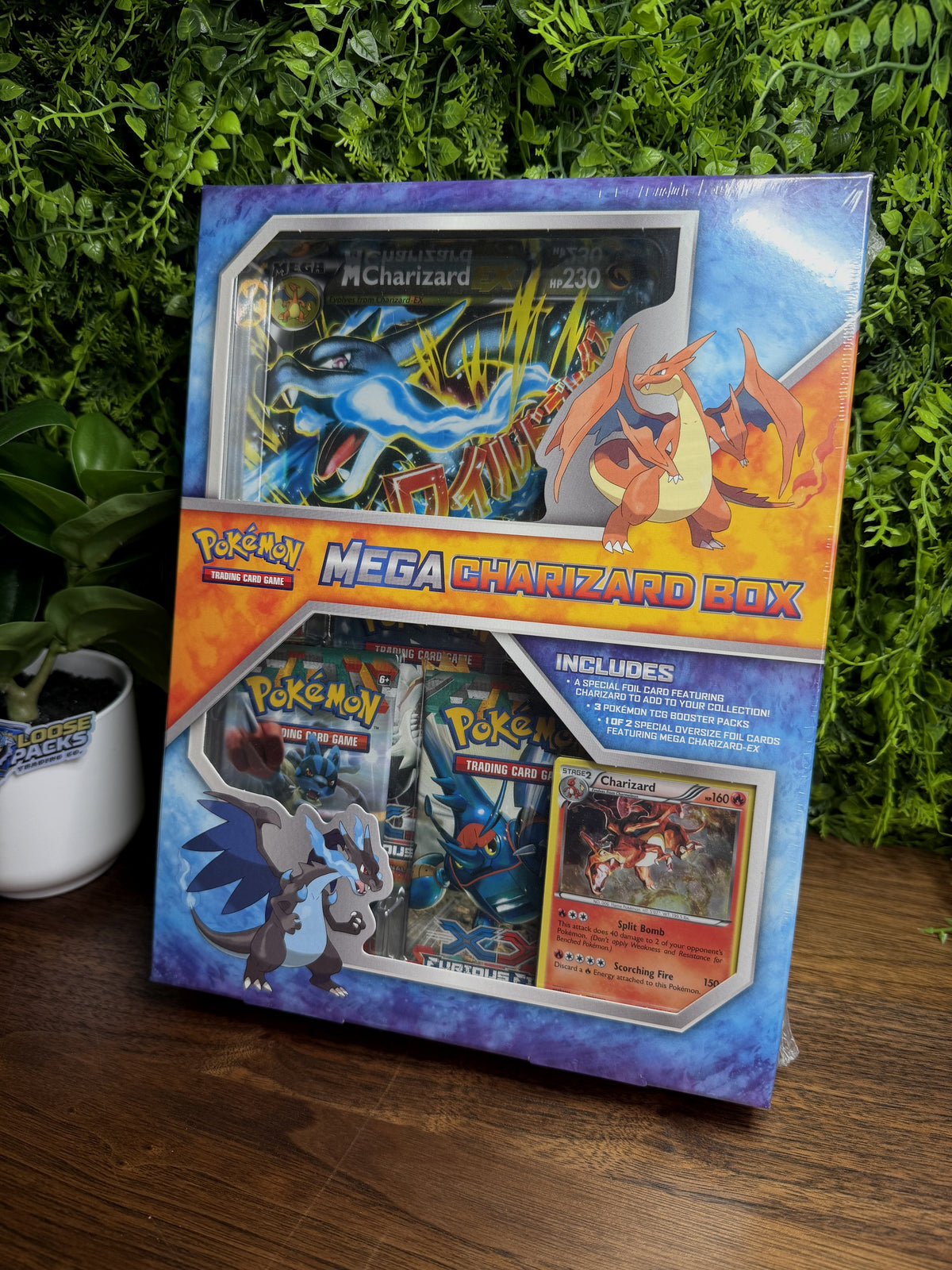 REAL PHOTO 2026-10-05 - Mega Charizard X Jumbo Collection Box (IMG_7046)