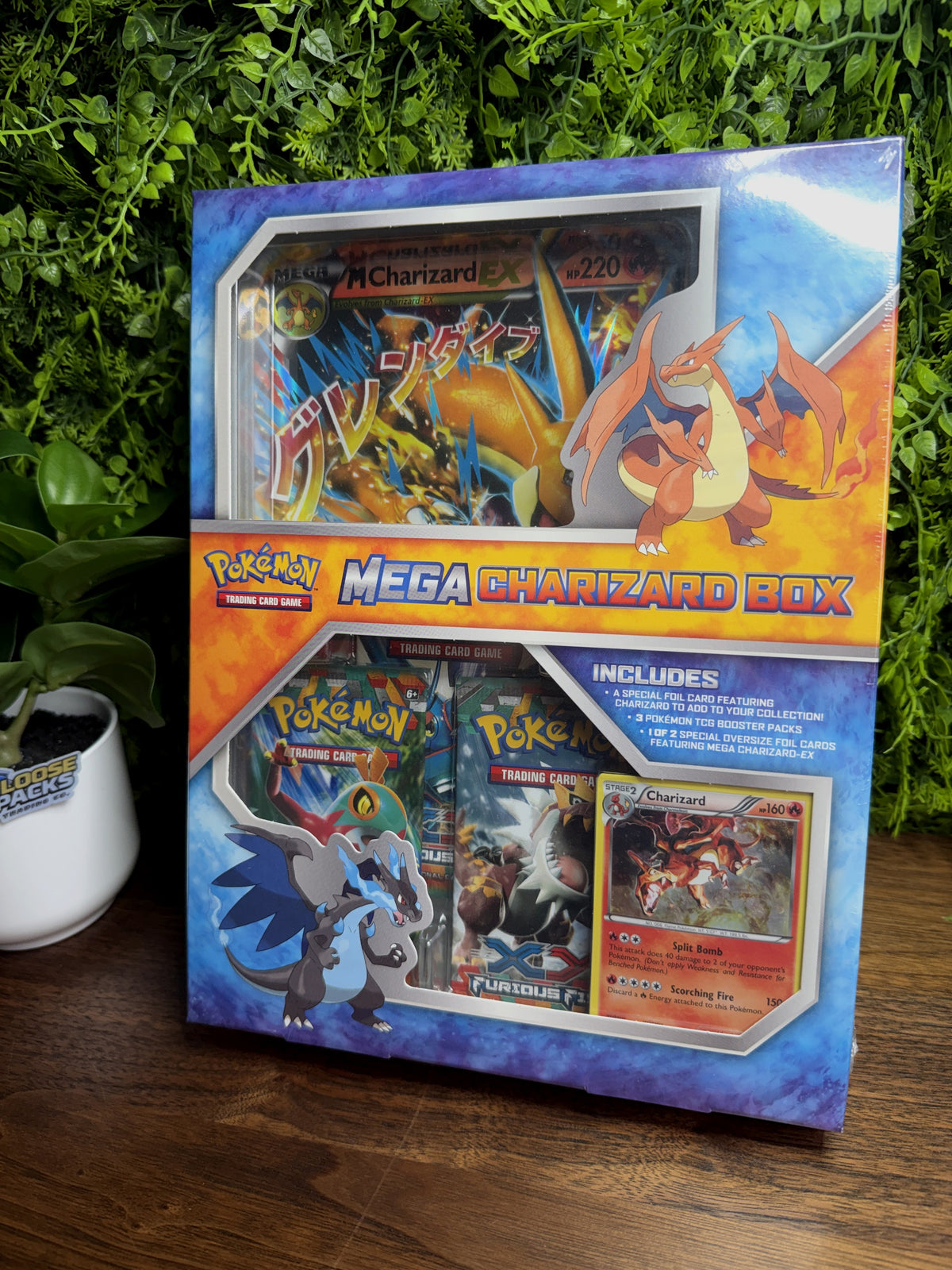 REAL PHOTO 2026-10-05 - Mega Charizard Y Jumbo Collection Box (IMG_7047)