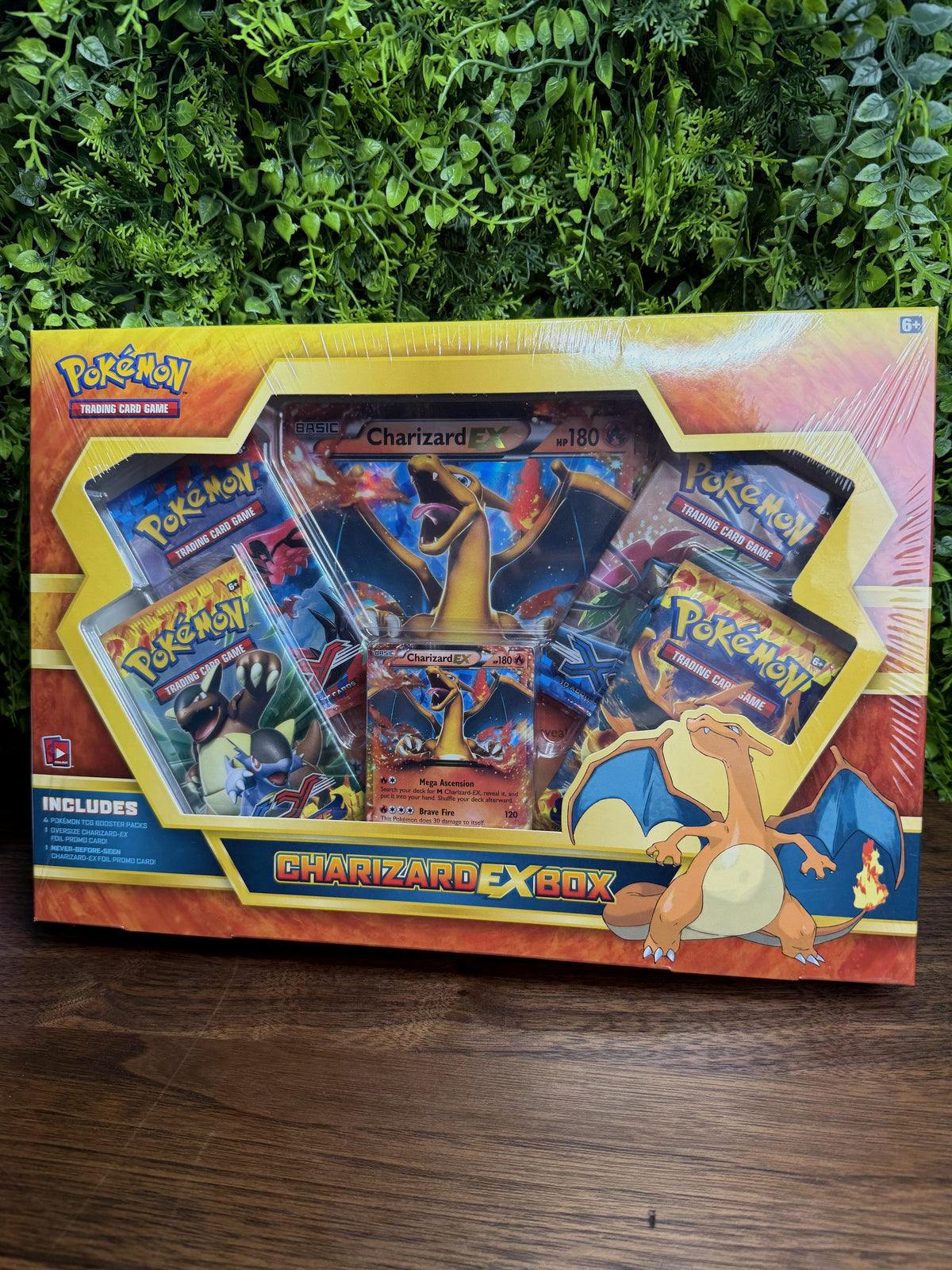 REAL PHOTO 2026-10-05 - Charizard EX Jumbo Collection Box (IMG_7048)