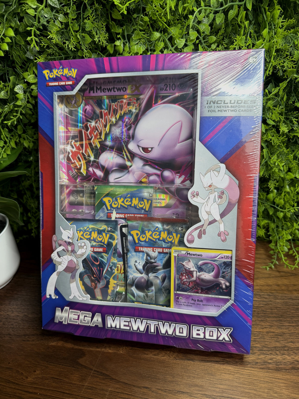 REAL PHOTO 2026-10-05 - Mega Mewtwo Y Jumbo Collection Box (IMG_7049)