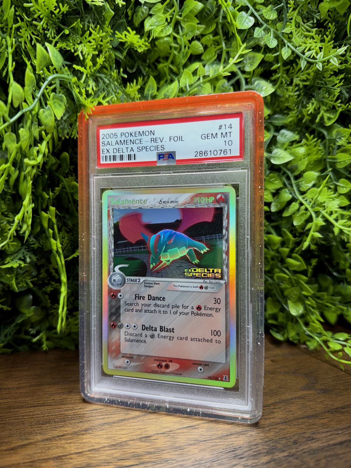 REAL PHOTO 2026-10-05 - PSA 10 EX Delta Species Salamence #14 (Reverse Holo) (IMG_7074)