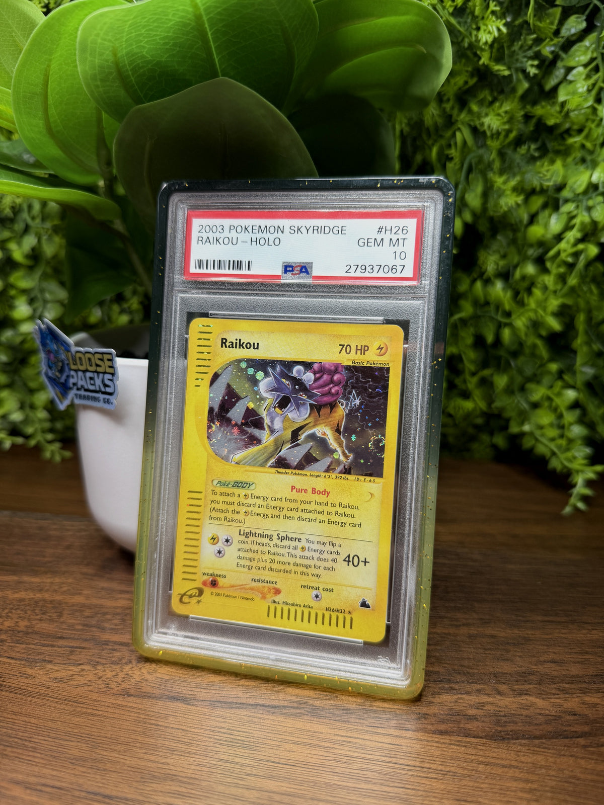 REAL PHOTO 2026-10-06 - PSA 10 Skyridge Raikou H26 (Holo) (IMG_7103)